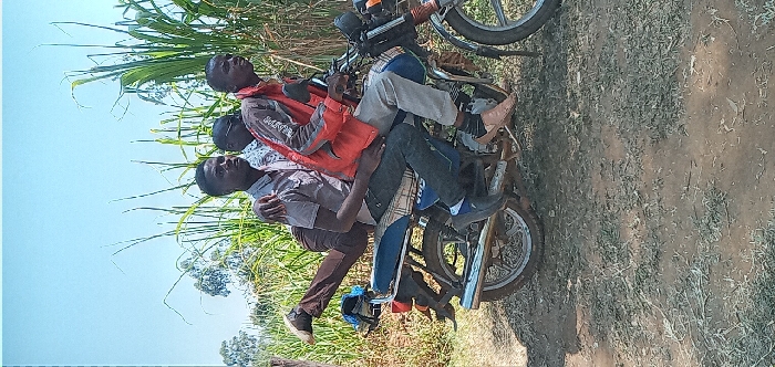 Memory
