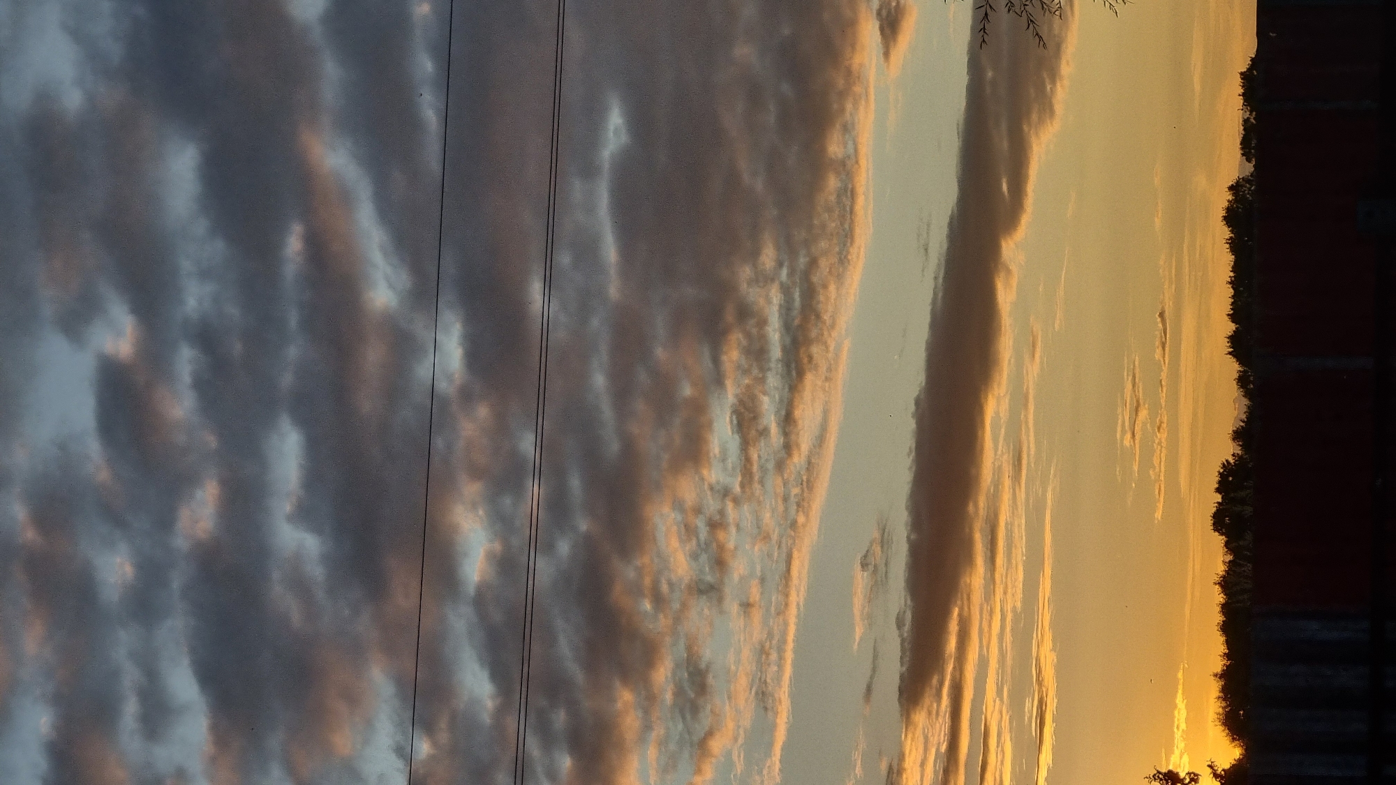 This is a vertical, eye-level, medium shot of a sunset over Vysokoe, Russia. The sky is filled with gray and pinkish-orange clouds, with two black power lines crossing horizontally across the frame. The lower portion of the image shows a dark silhouette of trees and a fence against the bright orange sky. The scene appears to be an outdoor, rural setting at dusk.