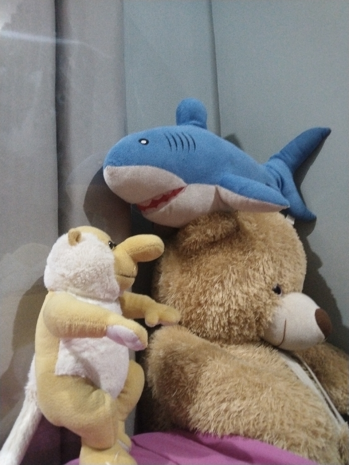 Memory