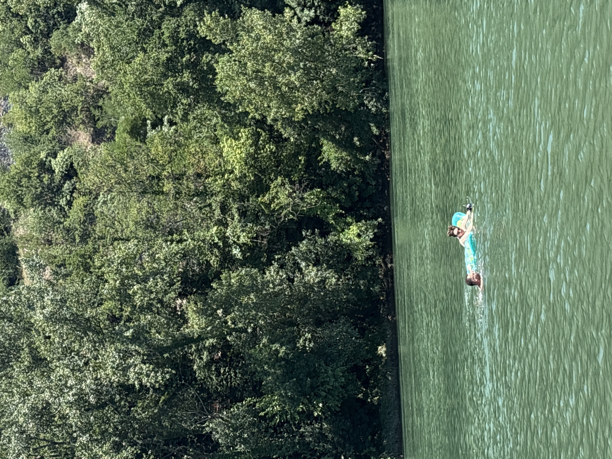 The image shows a person in the water from a high vantage point, looking down. The person is wearing a blue and white swimsuit and appears to be floating or swimming on their back. The water is a vibrant green and appears calm, with some ripples on the surface. To the left of the water is a dense, green forest that covers a hillside. The trees are lush and full, suggesting it is summer or late spring. The lighting indicates it is daytime, likely midday, with the sun casting shadows. The scene appears to be in a natural setting, possibly a lake or a wide river. No text is visible in the image. The setting is identified as Zvornik, Bosnia and Herzegovina.