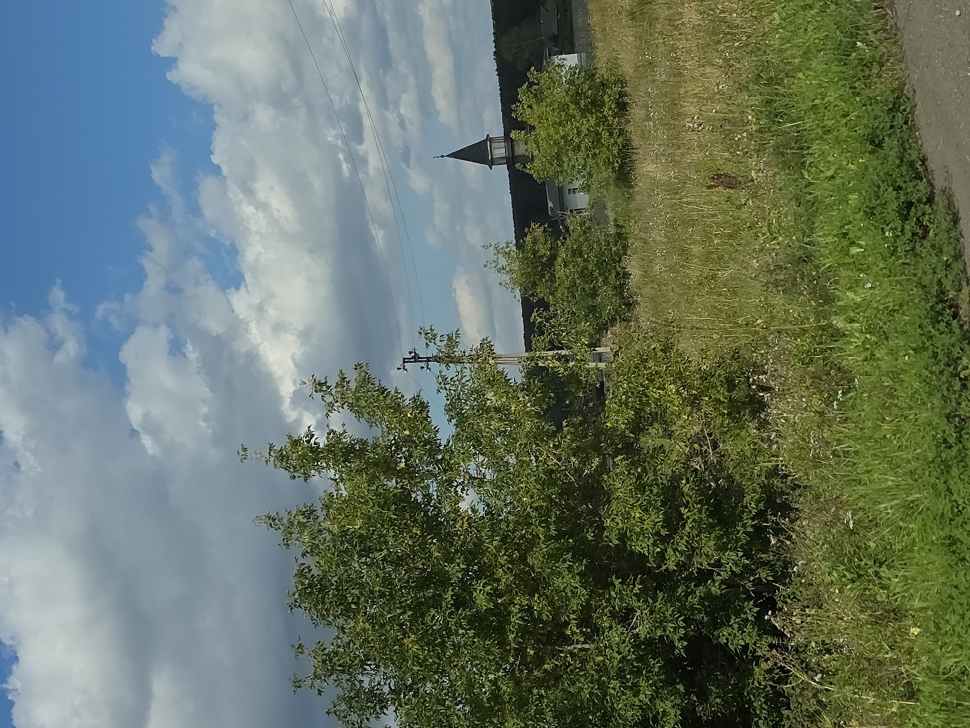 The image depicts a rural landscape under a cloudy blue sky. In the foreground, tall green grass and wildflowers dominate the scene, with a dirt path visible at the very bottom right. To the left, a large, leafy green tree stands prominently. In the mid-ground, more trees and vegetation are present, with a cluster of buildings partially visible behind them, including a building with a tall, dark, pointed spire topped with a crescent. Utility poles with wires are visible against the sky. The overall impression is one of a serene, natural setting with signs of human habitation in the distance. There are no people or animals visible in the image. The location is Aibatova, Russia.