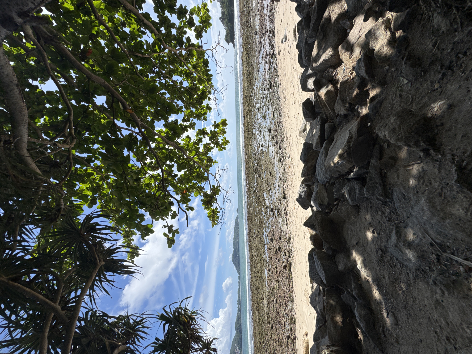 The image depicts a rocky shoreline in Patong, Thailand, under a bright blue sky with scattered clouds. Lush green trees with broad leaves and spiky foliage frame the top of the scene, casting shadows on the sandy and rocky ground below. The foreground is dominated by a cluster of large, dark grey rocks. Beyond the rocks, a stretch of light brown sand leads to the water. The sea is a calm turquoise, with a gentle wave breaking near the shore. The rocky area extends into the water, creating a textured effect. In the distance, several islands with green hills are visible on the horizon. The overall impression is of a serene natural landscape, partially shaded by overhanging trees.
