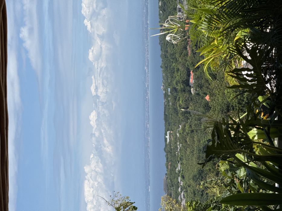 The image captures a scenic view from a high vantage point, likely a balcony or veranda. Lush greenery fills the foreground and right side, with various plants and palm trees. A body of water stretches across the middle, separating the vegetation from a blue sky filled with puffy white clouds on the left. Buildings are sparsely visible among the trees. The composition gives a sense of depth, with layers of landscape receding into the distance.