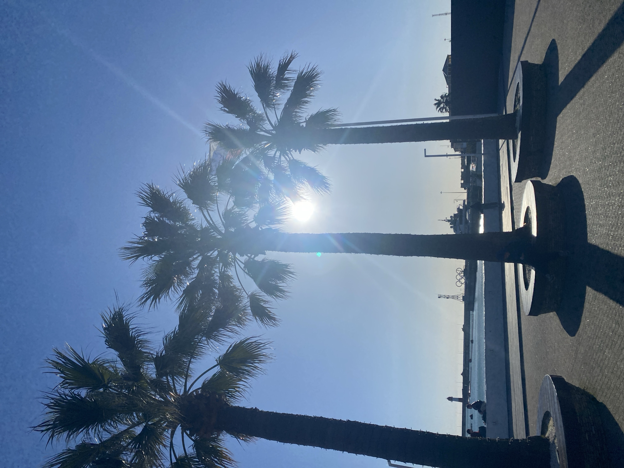 The image captures a sunny coastal scene, oriented horizontally when viewed correctly. Three large palm trees, silhouetted against a brilliant blue sky, dominate the left side of the frame. The sun, high in the sky, is positioned behind the trees, creating a strong lens flare and bright reflections on their fronds.
To the right of the palm trees lies a paved promenade or walkway, where large, abstract, C-shaped or horseshoe-like concrete structures are spaced along its edge. These structures, along with the palm trees, cast long, dark shadows onto the pavement, indicating a high sun angle. Beyond the promenade, a calm body of water, likely the Black Sea, stretches across the middle ground.
In the distance, along the horizon, indistinct buildings, possibly a lighthouse, and notably, a structure resembling the iconic Olympic rings are visible, hinting at the location's association with the Olympic Games. Small figures of people can be seen near the water's edge, enjoying the sunny conditions. Further along the coast, several boats or ships are present in the water.
The clear, bright blue sky and intense sunshine indicate a pleasant, warm day, likely midday or early afternoon. The presence of palm trees, a coastal setting, and the Olympic rings strongly suggest the location is Sochi, Russia. There is no visible text in the image. The scene evokes a sense of leisure and warmth in a developed seaside environment.