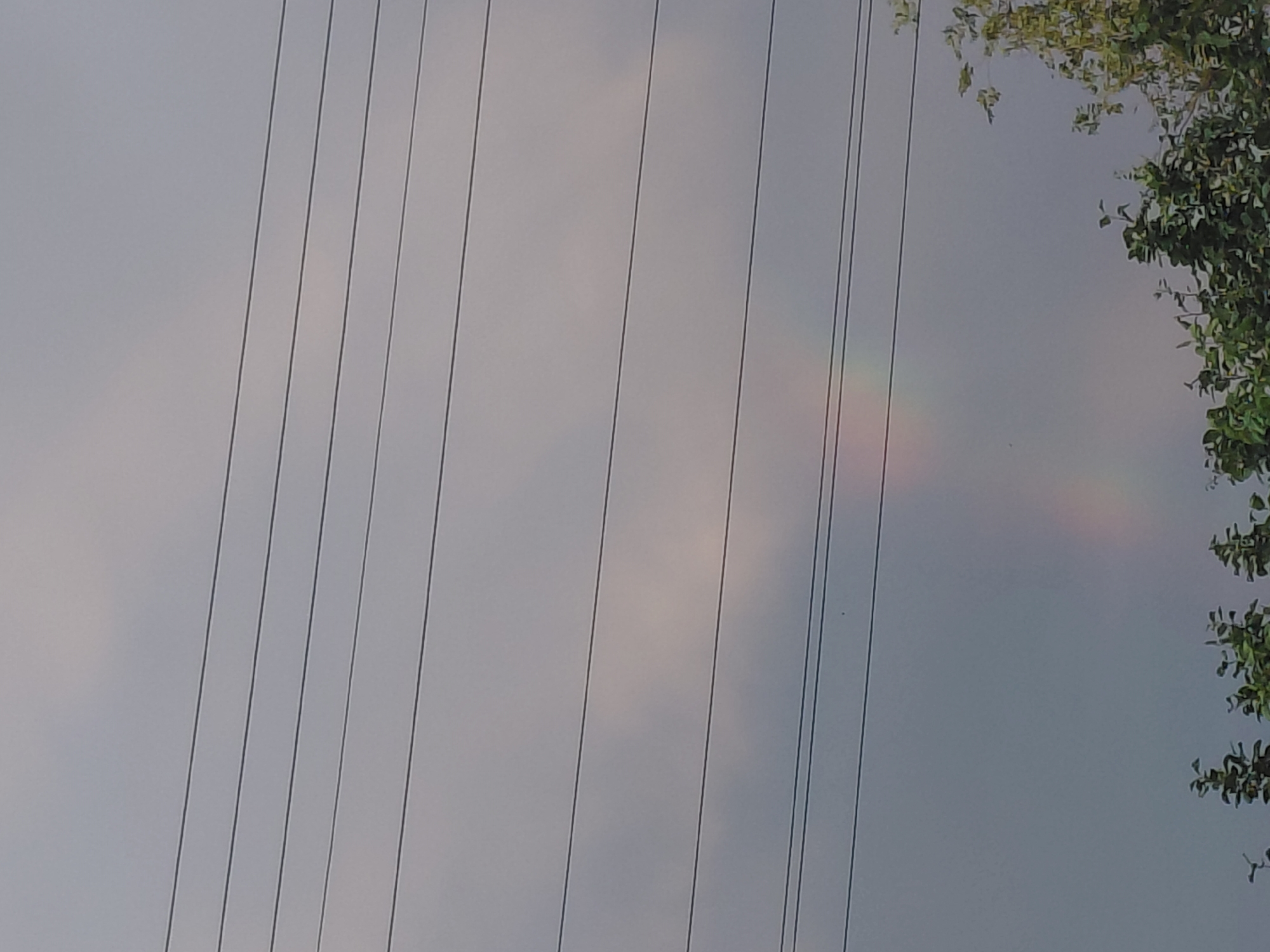 The image displays a section of the sky, likely during the daytime, given the bright, overcast conditions. The sky is predominantly a muted gray, with some lighter, cloud-like formations visible. A series of parallel, dark lines, which appear to be power lines or wires, stretch diagonally across the frame from the bottom left to the top right. In the upper right portion of the image, a cluster of green leaves from a tree hangs into the frame, partially obscuring the sky. Faint, colored arcs, reminiscent of a weak rainbow or light refraction, are visible in the middle right of the image, between the wires. The overall scene is calm and atmospheric, with no people or prominent activity. There is no visible text in the image.
