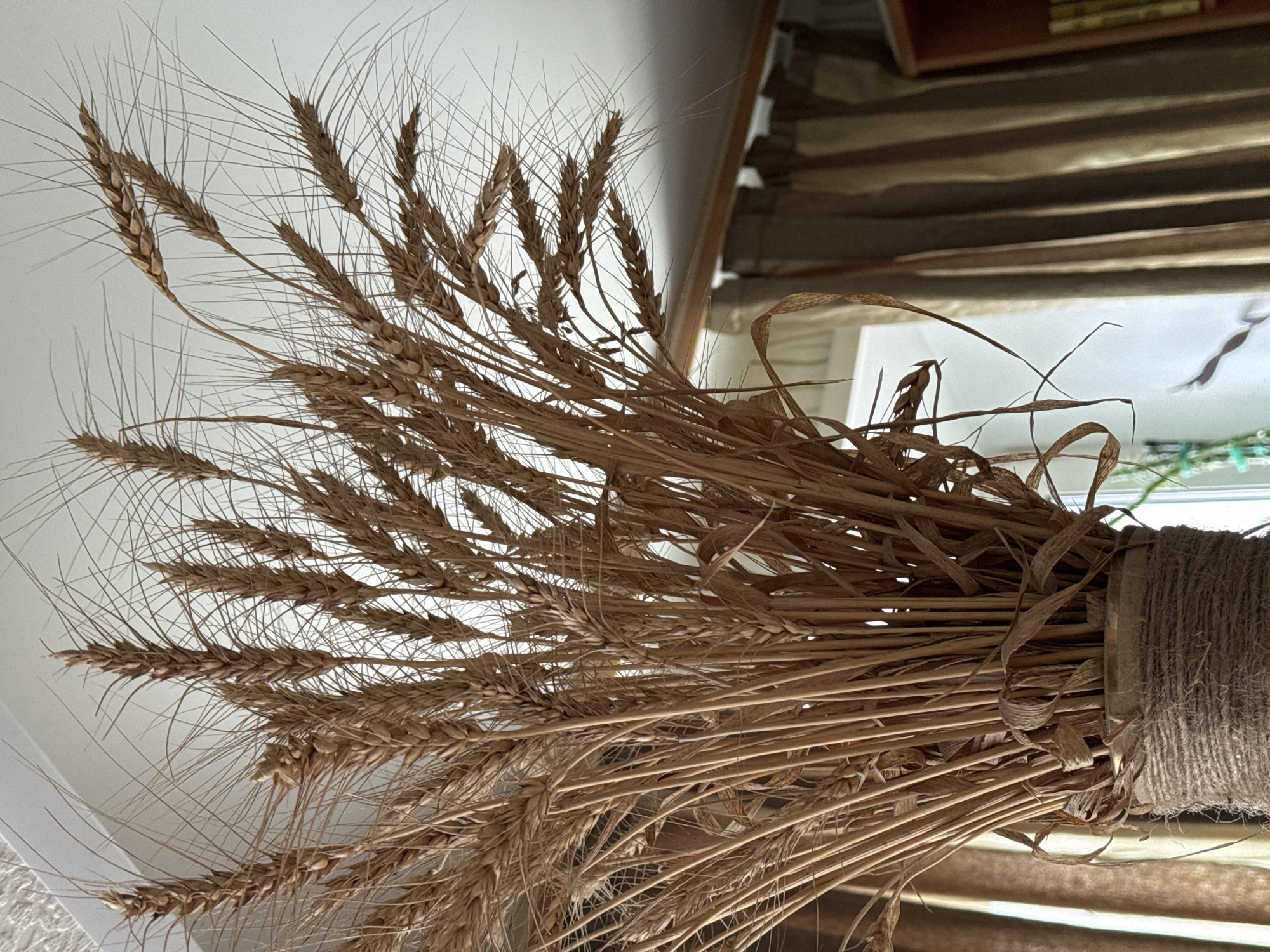 A bundle of dried wheat stalks is tied together with a rough, woven material. The stalks are a light brown color, and the individual grains of wheat are visible. The bundle is positioned in front of a white wall. In the background, there is a partially visible window. The exact location in Ново-Никольское, Russia, cannot be determined from the image.