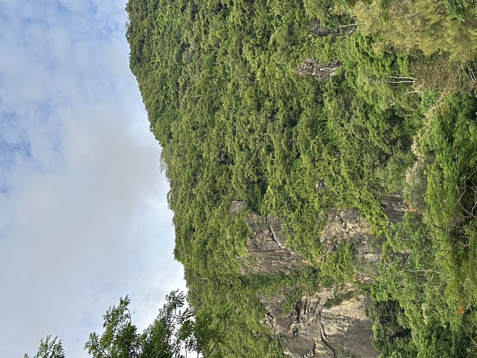 The image displays a mountainous, densely vegetated landscape located in Sekongkang, Indonesia. The central and dominant feature is a steep hillside covered extensively with lush, varied green tropical foliage, forming a dense canopy. Interspersed within the greenery, particularly on the left side, are prominent dark grey rock faces and cliffs, exhibiting vertical fissures and irregular textures. The upper portion of the scene reveals a sky with scattered white and light grey clouds against a lighter blue background. The lower foreground includes additional green vegetation, with some plants bearing reddish-orange blossoms and other lighter green foliage elements. No individuals, man-made structures, or specific actions are discernible within the frame.