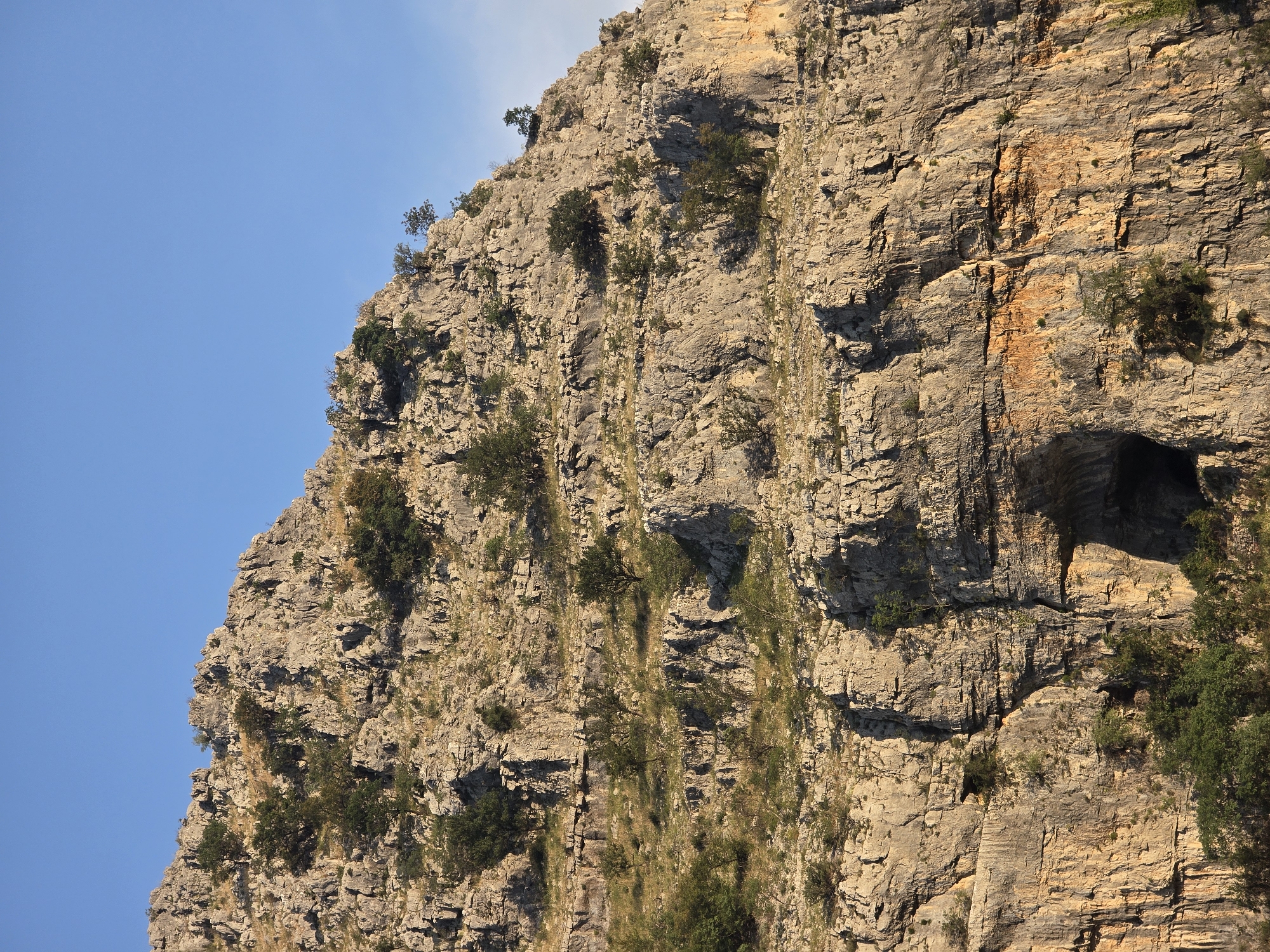 The image depicts a rugged, rocky mountainside under a clear blue sky. The mountain is characterized by its steep slopes, jagged rock formations, and sparse vegetation consisting of small trees and shrubs growing in crevices. The texture of the rock is rough and layered, with visible striations and variations in color, ranging from light gray to earthy brown and ochre. Sunlight casts shadows, highlighting the dramatic contours of the terrain. Towards the bottom of the image, a dark opening, possibly a cave or an overhang, is visible in the rock face. This natural landscape appears to be located in the vicinity of Podgorica, Montenegro, a region known for its mountainous terrain and natural gorges. There are no people or animals visible in the frame. The overall scene is one of natural geological formation and a wild, untouched environment.