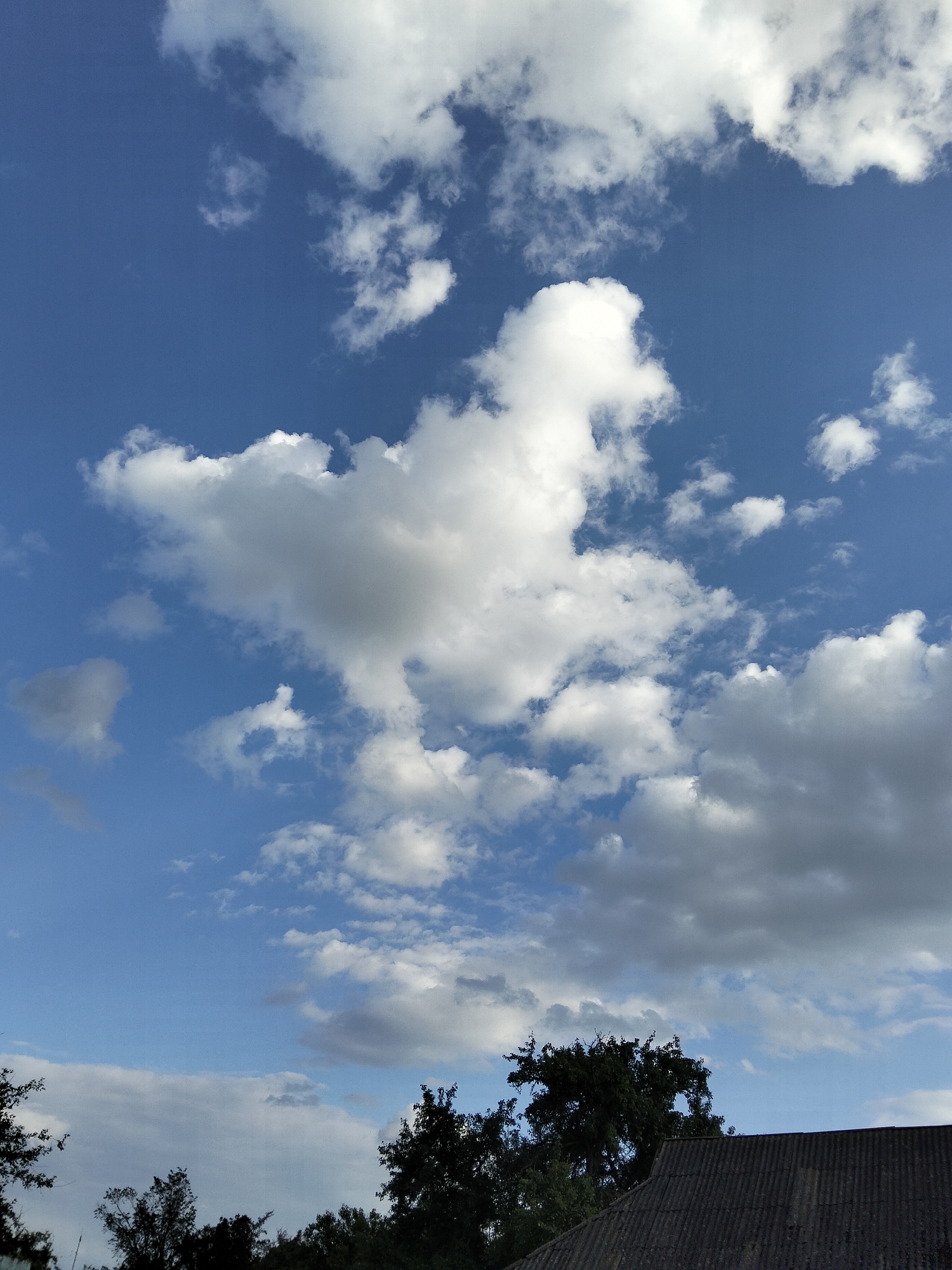 This is a landscape photograph taken outdoors in Ustyvytsia, Ukraine. The image primarily features a blue sky filled with numerous white and grey clouds. Some clouds are large and fluffy, while others are smaller and wispy. The bottom of the frame shows the tops of trees and a dark, corrugated roof, suggesting the vantage point is from a slightly elevated position, possibly looking upwards from a building or a hill. The lighting indicates it is daytime, with sunlight illuminating the clouds from above, creating shadows and highlights. The overall mood is peaceful and natural, typical of a sunny day with scattered clouds. There is no visible text in the image.