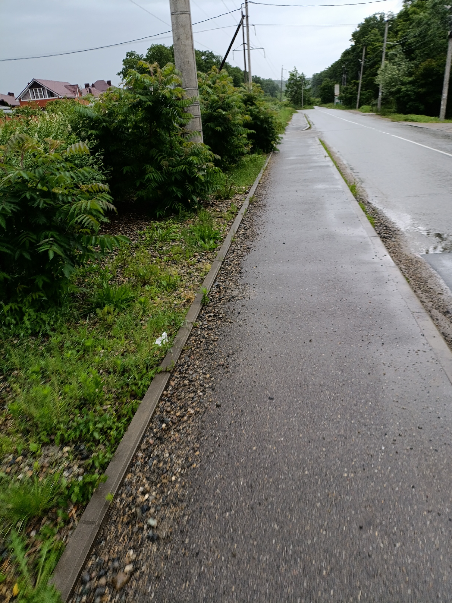 The photograph depicts a sidewalk and road in Goryachiy Klyuch, Russia. The sidewalk is gray, likely made of concrete or asphalt, and appears wet, suggesting recent rain. It's bordered on one side by a raised concrete curb and a strip of gravel. Beyond the gravel, there's dense vegetation, including bushes and grass. In the background, glimpses of buildings with red roofs are visible through the foliage. The road, also gray and wet, runs parallel to the sidewalk. Further down the road, trees line both sides, creating a tunnel-like effect. Utility poles and power lines are visible overhead. The sky appears overcast.