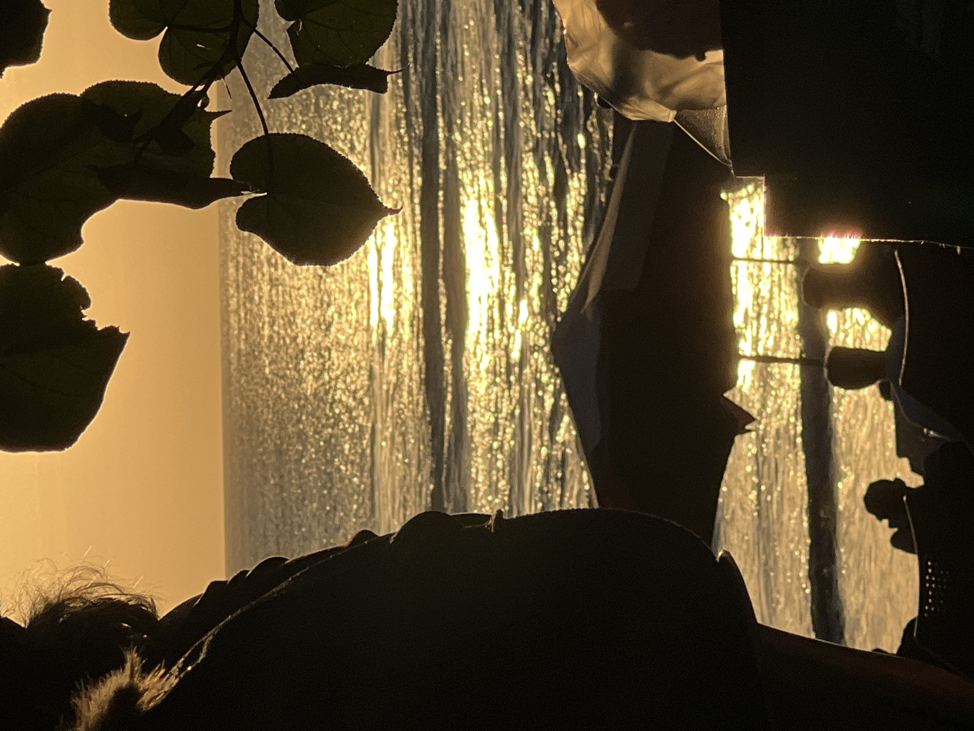 The image depicts a serene sunset scene at a beachside location in Kuta, Indonesia. In the foreground, silhouetted against the golden sky and shimmering ocean, a person's profile is visible on the left, with their hair catching the warm light. In the mid-ground, several beach umbrellas are set up, casting shadows on the sand. Silhouettes of people are seated at tables or chairs beneath these umbrellas, suggesting a relaxed atmosphere, possibly a cafe or restaurant. In the background, the ocean stretches to the horizon, with the sun's reflection creating a dazzling path of light on the water's surface. Lush green leaves from a plant frame the top right of the image, adding a natural element to the composition. The overall mood is tranquil and picturesque, characteristic of a tropical sunset in Bali.