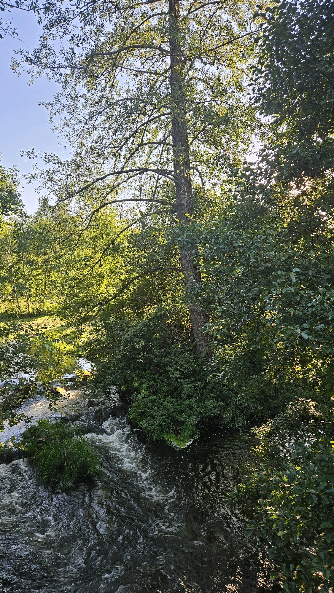 The image shows a wooded area with a flowing river. Lush green trees and foliage surround the river, with sunlight filtering through the leaves. The water is dark and appears to be moving quickly over rocks, creating ripples and white foam. The overall scene depicts a natural, serene environment. The image does not contain any people or specific identifiable landmarks that would indicate a location within the city of Hrodna, Belarus.