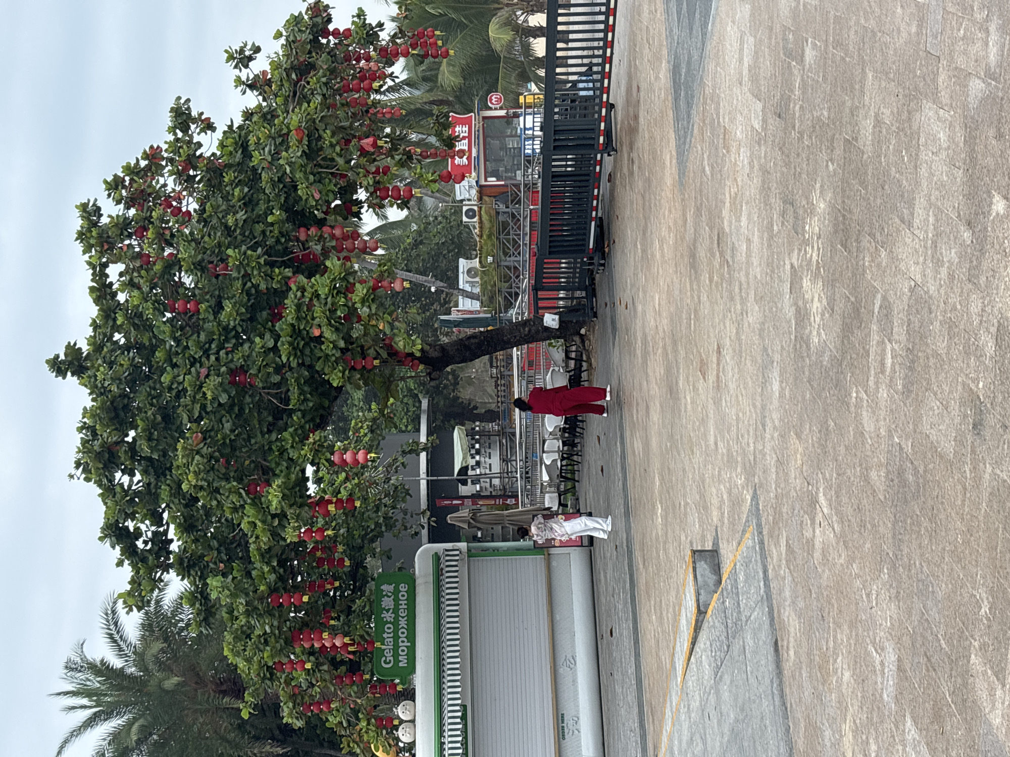 An outdoor scene in Jiyang District, China, features a large tree adorned with numerous red lanterns. The tree's branches are laden with these decorative lights, creating a vibrant display against the lush green foliage. In the foreground, a paved area with a patterned stone surface provides a walkway. To the left, a white kiosk with green and white striped awnings displays signage that reads "Gelato" in English, followed by Chinese characters and "Мороженое" in Cyrillic, indicating an ice cream vendor. Two individuals are present in the scene: one person on the left wears white clothing, and another on the right is dressed in red. Behind them, several tables and chairs are set up, suggesting an outdoor seating area. Further in the background, a red structure with a metal railing and a gated entrance is visible, potentially leading to a beach or another public area. Palm trees and other tropical vegetation can be seen in the periphery, hinting at a warm climate. The sky is overcast, casting a diffused light over the scene.