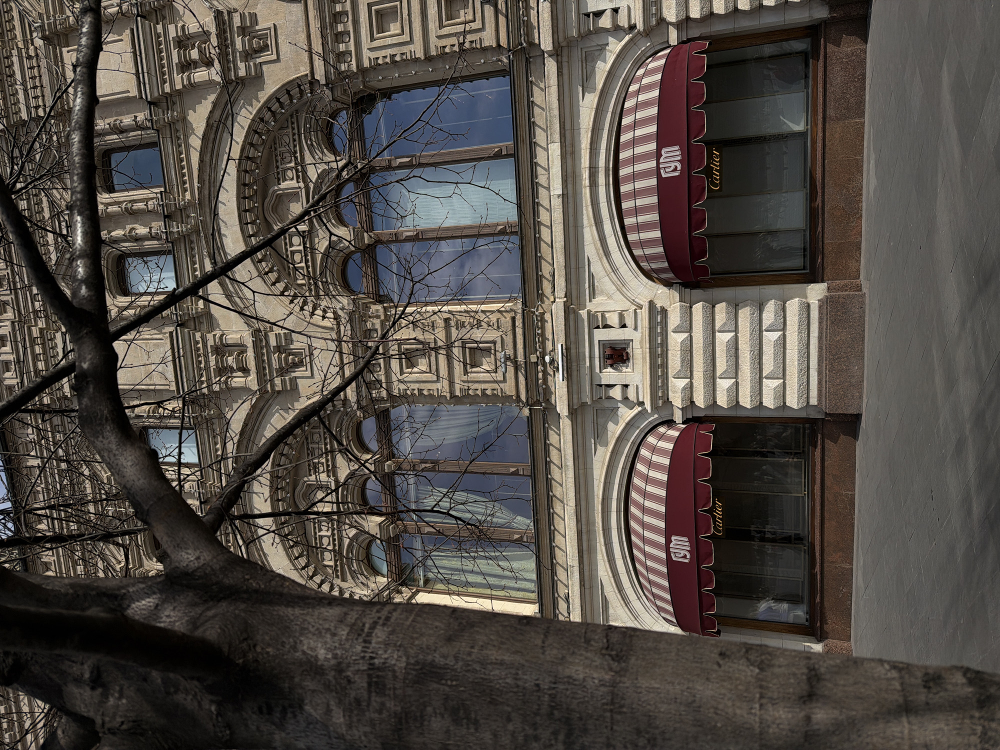 A low-angle, rotated view of the facade of the GUM (State Department Store) building in Moscow, Russia is dominated by an old tree in the foreground. The building's architecture is characterized by ornate stonework, arched windows, and maroon and white striped awnings with the text "ГУМ" (GUM) and "Cartier". The windows reflect the sky and building opposite. The trunk of the tree is large and textured, with bare branches obscuring parts of the building. To the right of the building is a grey wall.