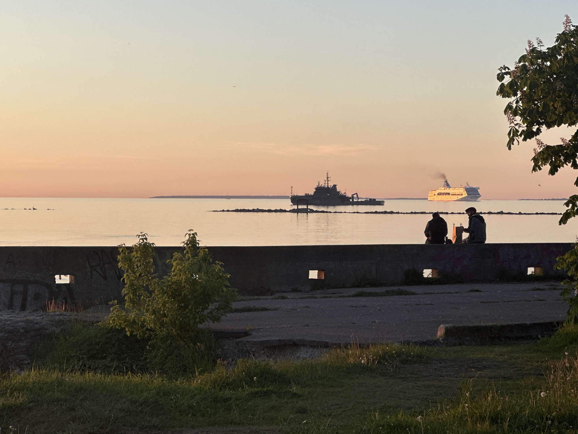 The image depicts a coastal scene in Tallinn, Estonia, at either sunrise or sunset, characterized by warm, gradient hues in the sky transitioning from light blue overhead to soft orange and pink at the horizon. The calm water reflects these colors, creating a serene backdrop.
In the mid-ground, two distinct vessels navigate the water. To the left, a dark-hulled ship, possibly a patrol vessel or a smaller cargo ship, is silhouetted against the bright horizon. To the right, a large passenger ferry, clearly illuminated by the low sun, stands out with its white hull and prominent blue stripes, emitting a plume of smoke from its funnels as it moves across the frame.
The foreground is dominated by a weathered concrete wall or embankment that runs horizontally across the lower third of the image. This wall features several square and rectangular openings. Perched on top of this wall are two individuals, silhouetted against the bright water and sky, appearing to observe the sea. One of them holds a bag. Below the wall, a concrete path or ground surface is visible, leading to an area of green grass and sparse vegetation. A small, leafy tree or shrub stands to the left of the wall, while branches of a larger tree with distinctive light-colored, upright flower clusters (likely a chestnut tree) extend into the frame from the upper right, partially obscuring the sky and distant ferry. The lighting creates strong backlighting on the foreground elements and the left ship, contrasting with the direct illumination on the passenger ferry.