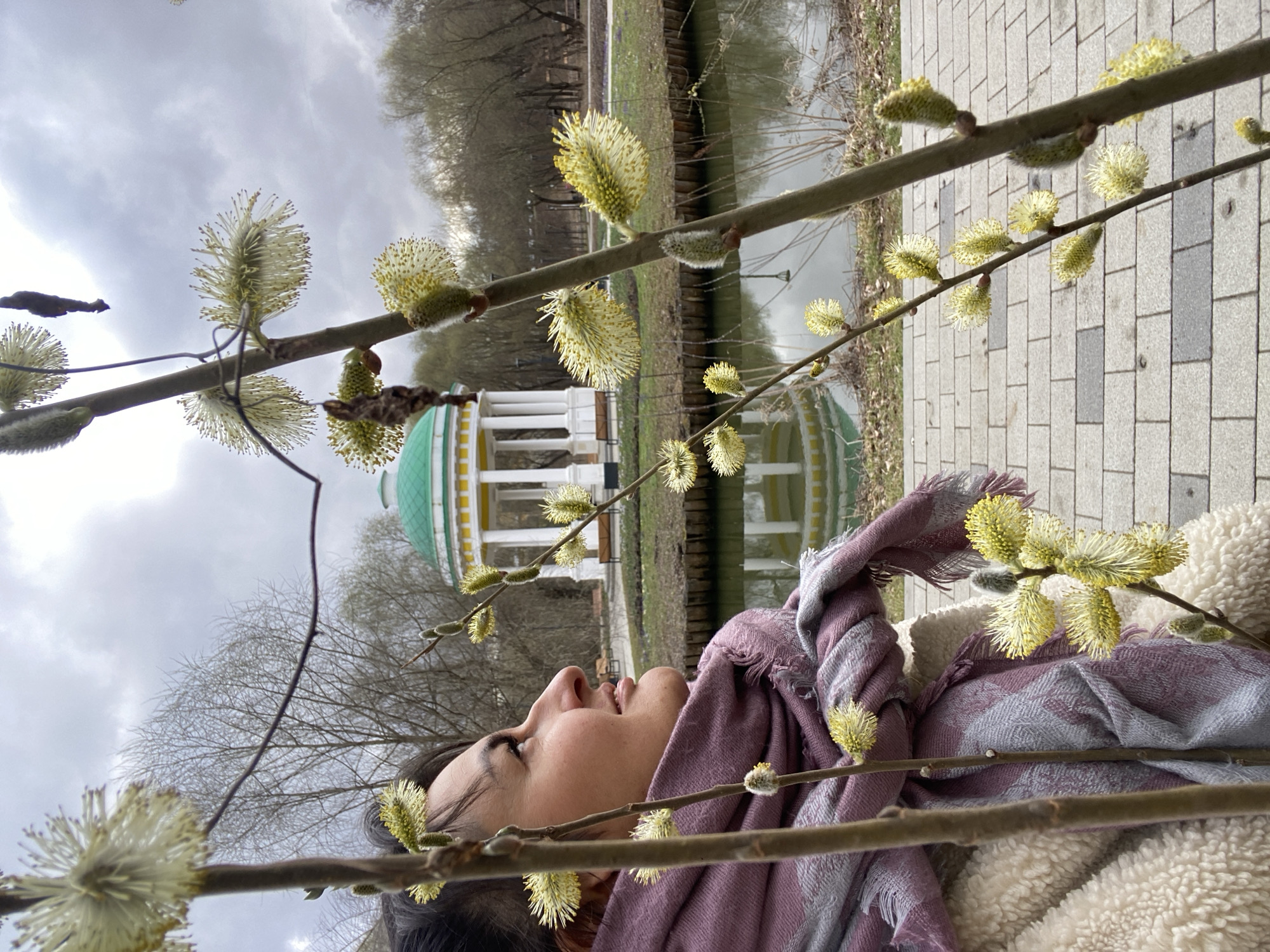 The image is an eye-level shot taken outdoors, seemingly in a park setting. A woman lies down, her face visible in profile, gazing upwards. She is wearing a lavender scarf and a cream-colored, textured jacket. Branches with budding yellow flowers frame her face and are in the foreground. In the background, partially obscured by the branches, is a green-domed gazebo reflected in a body of water. The gazebo has white columns and a yellow trim. Trees line the water's edge. To the right of the frame is a paved walkway. The sky is overcast. Based on the architectural style of the gazebo, the scene is likely set in Tsaritsyno Park in Moscow, Russia.