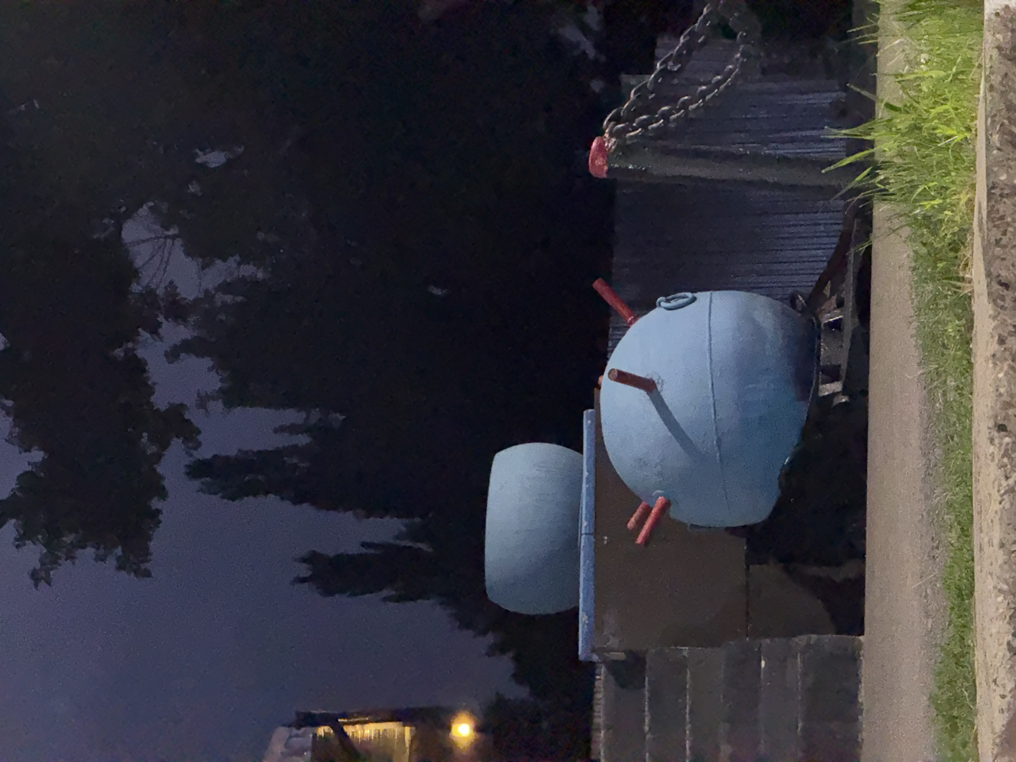 The image shows a nighttime scene in an outdoor setting, likely a park or recreational area. The main objects in focus are two round, blue, presumably metal, objects that appear to be decorative sculptures. One is larger and more prominent, with several red rods protruding from its surface and a loop at the top. The second, smaller object is positioned to the left of the larger one. A metal chain, possibly part of a swing set or other playground equipment, hangs from the top right of the frame. Green grass is visible along the right edge of the image, next to a concrete curb or path. In the background, dark silhouettes of trees suggest the presence of foliage, and a faint, distant light source could indicate streetlights or building illumination. The overall mood is dark and somewhat mysterious due to the low light conditions and the nature of the objects. No people are visible, and the time of day is clearly night. The location is specified as Pavlodar, Kazakhstan, but no specific landmarks are identifiable within the image to confirm this. There is no visible text in the image.