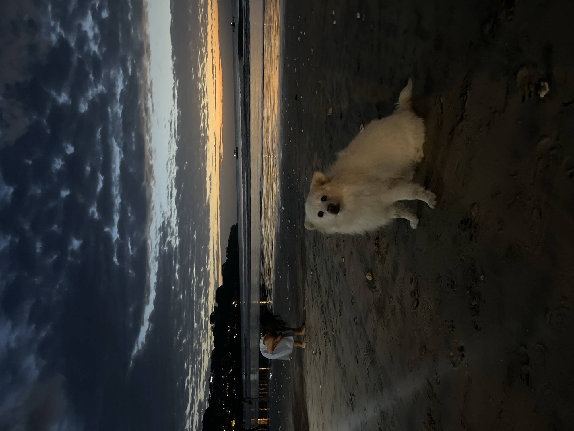 The image depicts a twilight scene on a beach in Kuta Selatan, Indonesia. In the foreground, a white dog is seated on the wet sand, looking towards the camera. Further back, a person wearing a light-colored dress is bent over, appearing to examine something on the sand. The ocean is visible in the middle ground with calm waves reflecting the dim light. Distant boats and lights from a hillside settlement are present on the horizon, under a sky filled with dark, textured clouds transitioning into the lighter hues of sunset or sunrise. The sand is dark and damp, with scattered small stones and visible footprints. The overall atmosphere is serene and somewhat somber due to the low light conditions.