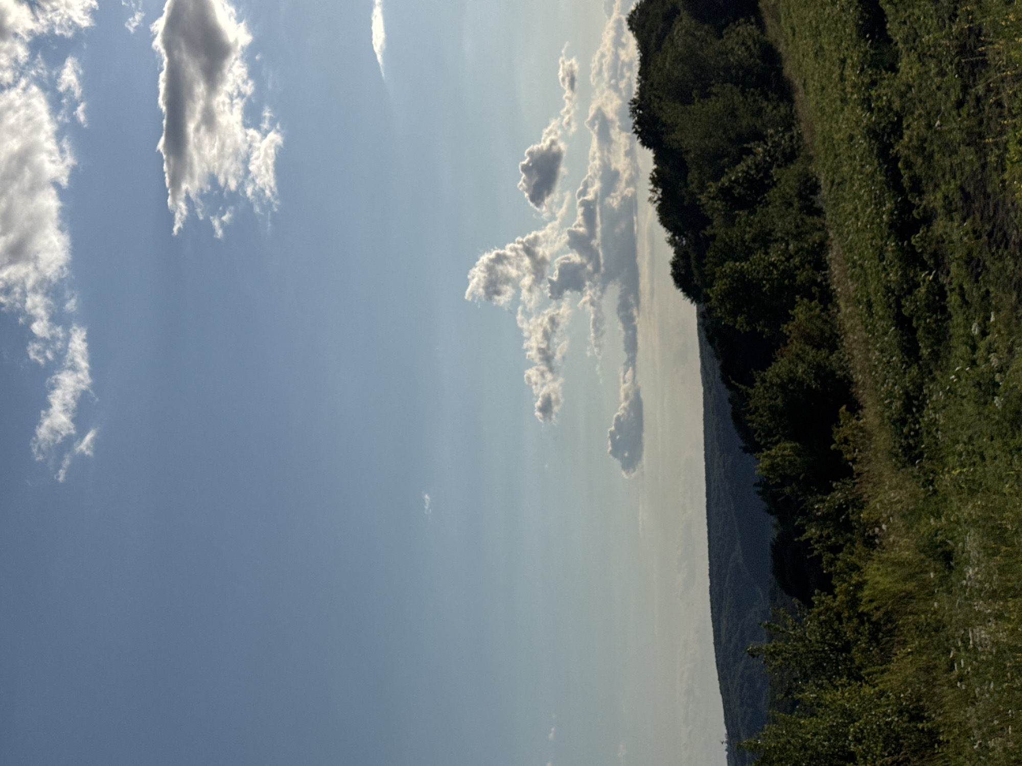 This media file shows a landscape scene under a bright, cloudy sky. The image is oriented vertically, with the sky occupying the left half and a densely wooded hillside the right half. The sky is a pale blue with scattered white clouds, some of which are wispy and elongated, while others are more puffy. The sun appears to be high in the sky, indicating it is likely daytime, possibly late morning or early afternoon.
The right side of the image features a steep, tree-covered slope. The trees are a mix of deciduous and coniferous, creating a rich, dark green texture. A narrow, grassy path is visible winding along the edge of the treeline, suggesting a rural or natural setting. The vegetation is lush and green, indicating a period of growth, likely during the warmer months.
There are no people or man-made objects clearly visible in the frame. The overall mood is serene and natural, evoking a sense of peace and openness. The location is identified as Pavliv, Ukraine. The weather appears to be fair with a mix of sun and clouds.