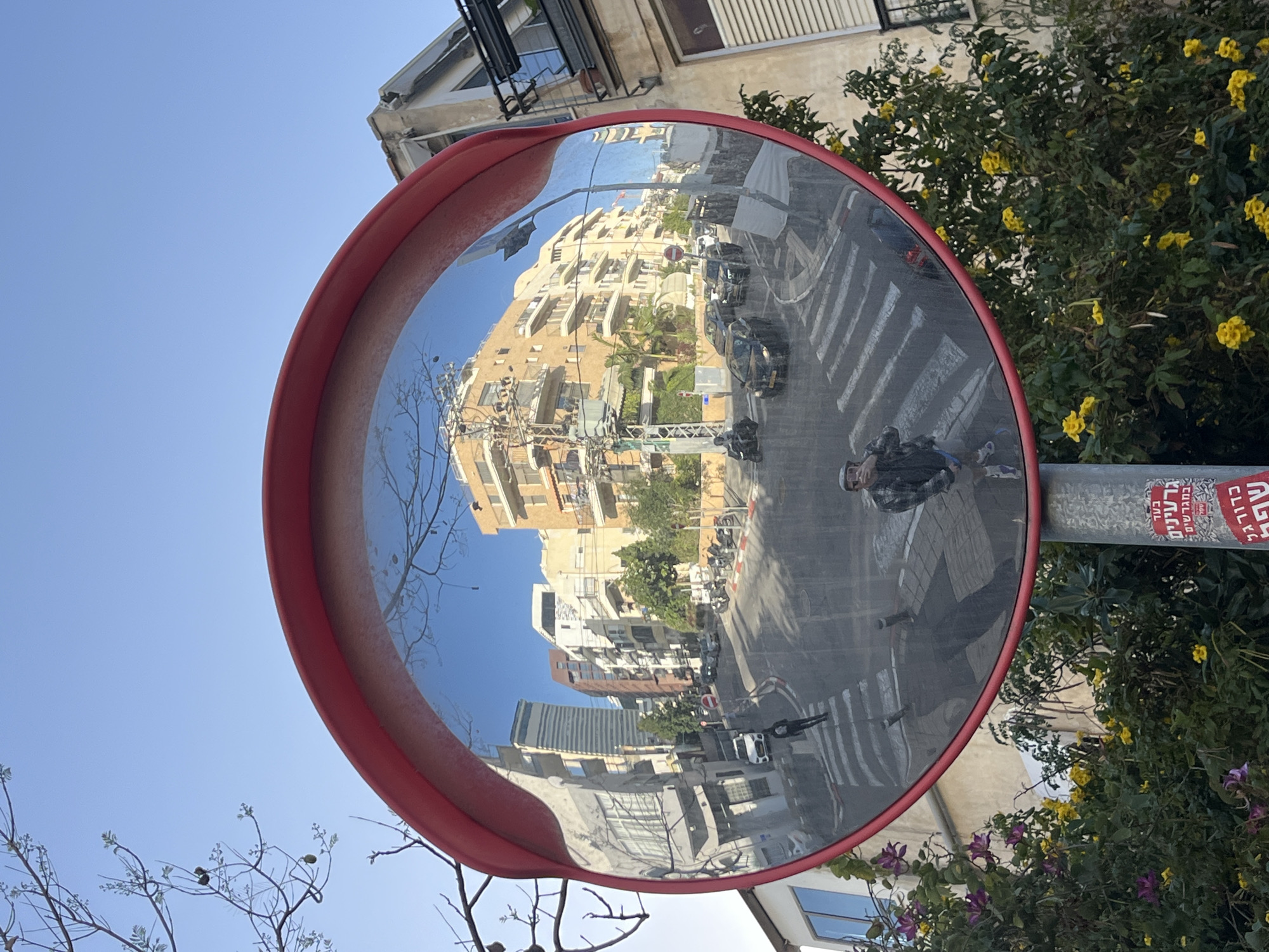 A convex traffic mirror is mounted on a pole beside a street in Tel Aviv, Israel. The mirror has a red border and reflects a busy urban scene including buildings of varying heights, a street with crosswalks, parked cars, and pedestrian traffic. The sticker on the pole is in Hebrew. Some trees with yellow and purple flowers are partially obscuring the pole. The sky is blue. A person is walking along the street near the mirror and is visible in the reflection.