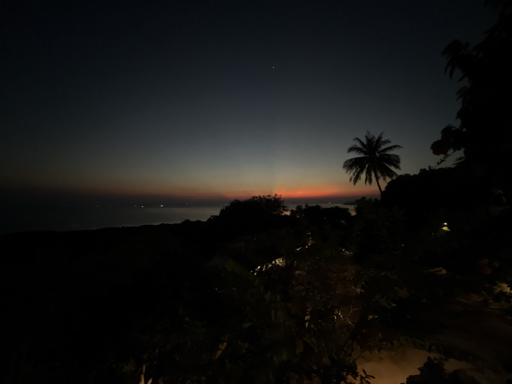 The image depicts a serene twilight scene over the ocean in Karimunjawa, Indonesia. The sky is a gradient of deep navy blue transitioning into softer grays and finally a warm band of orange and pink near the horizon, indicating sunset or sunrise. A single, bright star is visible in the dark expanse of the sky.
Silhouetted against this colorful sky are lush tropical trees and a distinctive palm tree. The foreground is dominated by dark foliage, suggesting a vantage point from a higher elevation, possibly a balcony or hillside. The ocean stretches out to the horizon, with faint lights suggesting distant boats or coastal settlements.
The overall mood is peaceful and tranquil, capturing the quiet beauty of the natural world at dusk. The lack of artificial light in the foreground and the natural hues of the sky evoke a sense of calm and natural beauty. The image appears to be taken with a mobile phone given the quality and composition. There is no visible text in the image.