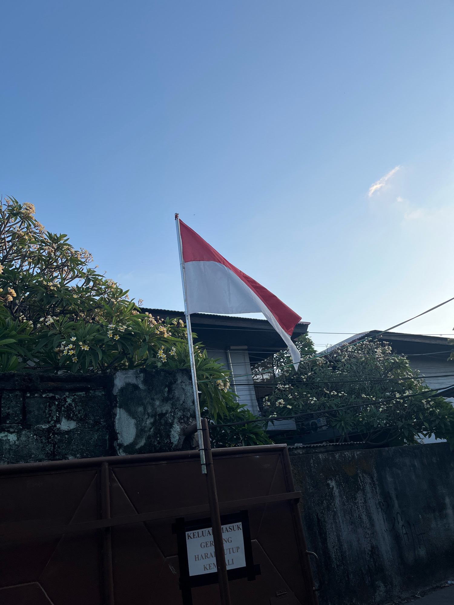 An Indonesian flag, red and white, flies from a pole in front of a dark brown metal gate. Behind the gate, a concrete wall, weathered and partially covered in moss, runs horizontally. A tree with white flowers, possibly frangipani, is in bloom and positioned behind the wall. Further back, there are glimpses of houses with dark roofs and electrical wires. A sign is affixed to the gate, with visible text in Indonesian. The sky above is clear blue with a hint of a wispy cloud on the right side. The image was taken outdoors, suggesting it is a residential or public area. The sunlight indicates it is daytime. The scene appears to be located in Denpasar, Indonesia, given the presence of the Indonesian flag and typical tropical vegetation.