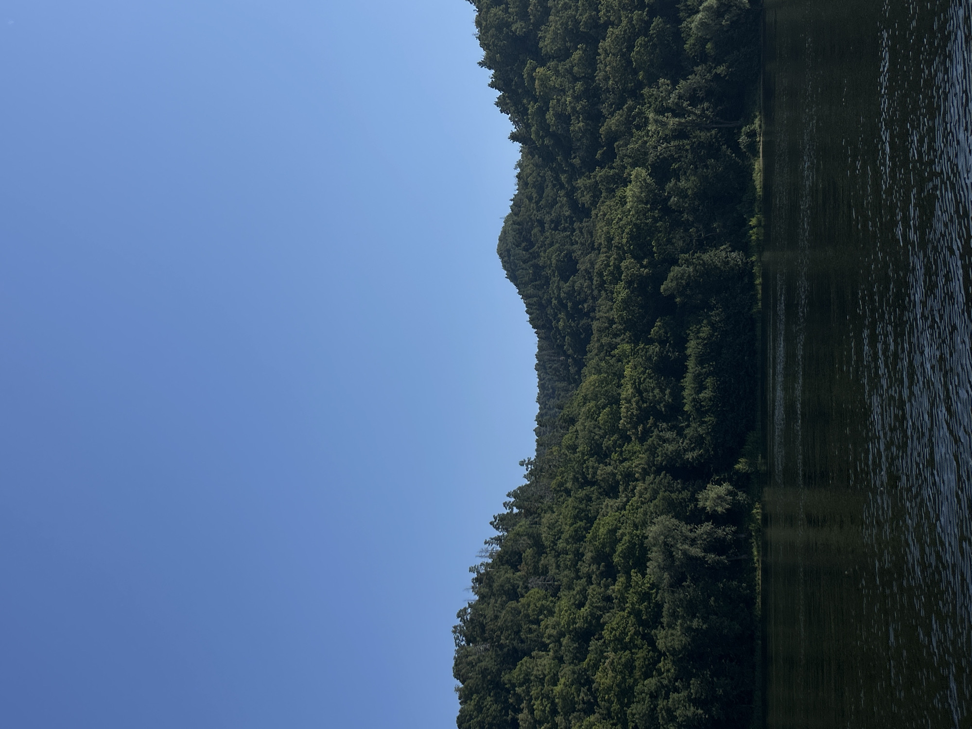 The image depicts a wide, dark river in the foreground, with gentle ripples on its surface. The river is bordered by a dense, verdant forest that covers rolling hills. The trees are lush and varied in shade of green, with some appearing taller and darker than others. The sky above is a clear, uninterrupted expanse of bright blue. The scene is devoid of any visible human presence or man-made structures, suggesting a natural, undeveloped landscape. The overall impression is one of tranquility and natural beauty. This landscape is consistent with areas along the Volga River in or near Tolyatti, Russia, known for its picturesque natural settings.