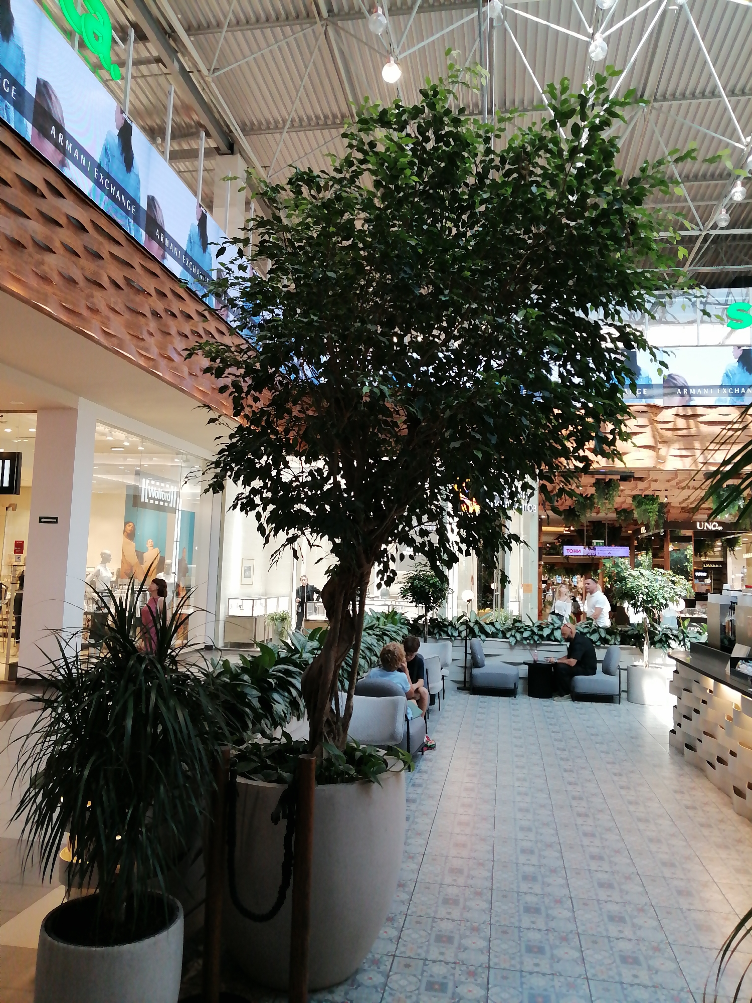 The image depicts the interior of a modern shopping mall in Rostov-on-Don, Russia, likely on a bright, overcast day. A large, artificial ficus tree dominates the center foreground, its dense green foliage casting shadows. To the left, a tall, spiky plant in a light-colored pot stands out, with another similar pot behind it.
In the mid-ground, several people are seated on plush, grey lounge chairs arranged around low tables. Some are engaged in conversation, while one individual is focused on a laptop. Behind them, various shops line the mall, with one store, "Wolford," clearly visible through its glass storefront, displaying mannequins in a window. Further back, other shops with signage like "UNO" and "LAJAVICE" are visible. The mall's architecture features a high, vaulted ceiling with exposed metal beams and lighting fixtures, and the floor is tiled with a patterned design.
Above the shops, a large digital billboard displays advertisements, featuring the "ARMANI EXCHANGE" logo. The overall ambiance suggests a well-lit, contemporary retail environment.