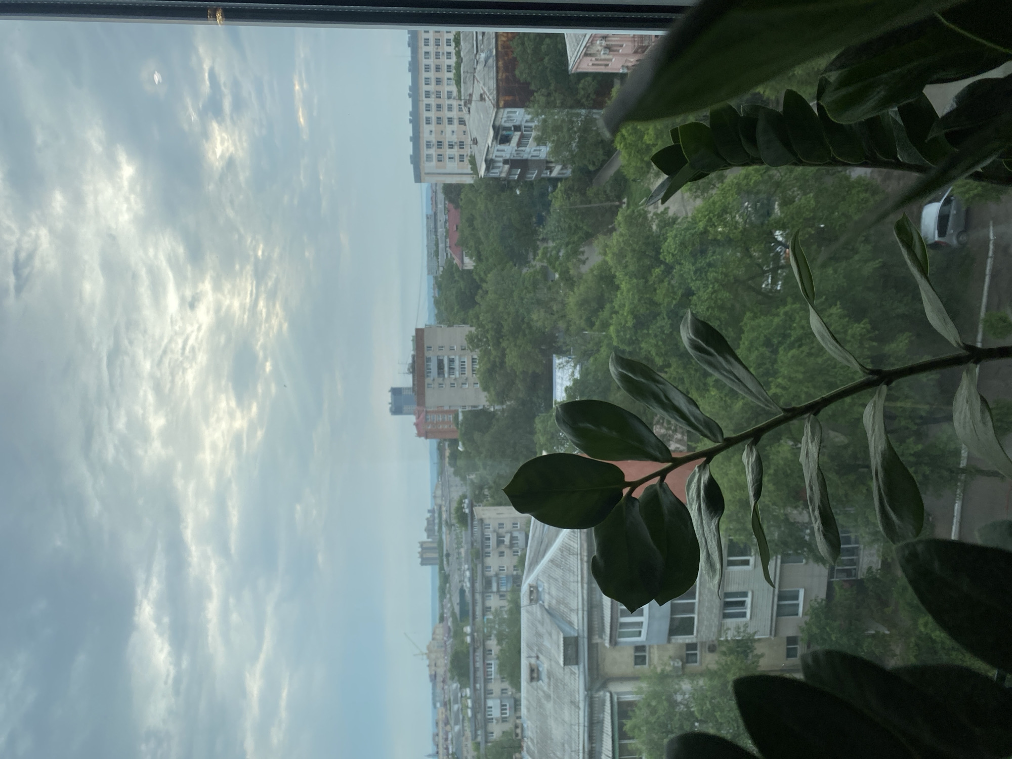 A high-angle, medium shot captures a view of a city from behind a window, with a leafy plant in the foreground obscuring a portion of the scene. The sky is overcast with textured, gray clouds, and streaks of bright light suggest a break in the clouds or the sun attempting to penetrate. Below the sky, a dense urban landscape unfolds, characterized by a mix of apartment buildings of varying heights and architectural styles, interspersed with lush green trees. The buildings are primarily residential, with visible windows and balconies. Some appear to be older, with weathered facades, while others are more modern. In the distance, a construction crane indicates ongoing development. A narrow street is visible winding through the buildings, with a parked silver car on the right side of the frame. The overall impression is one of a lived-in, somewhat overcast urban environment on a day with diffused light.