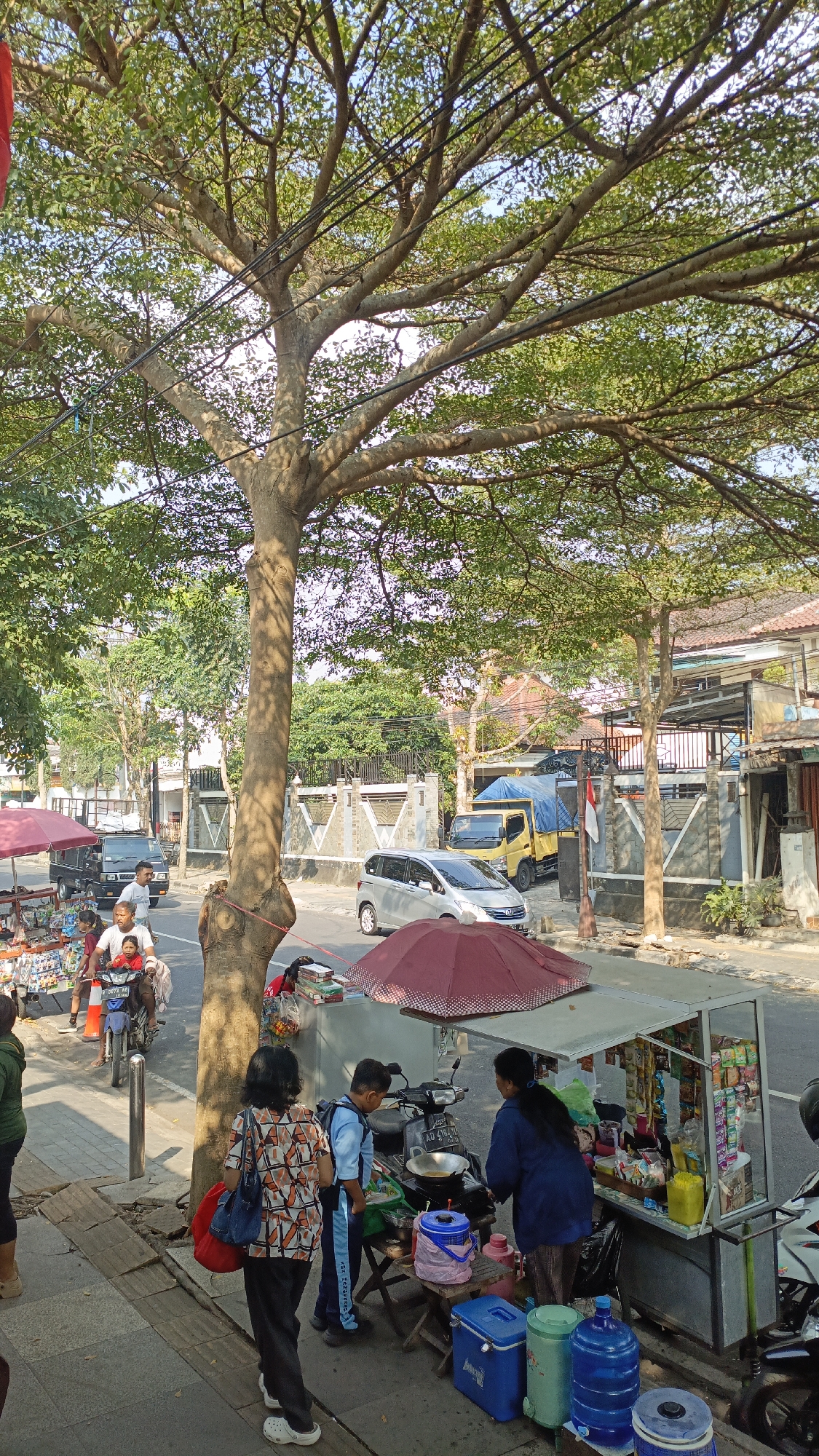 The image depicts a street scene in Salatiga, Indonesia, dominated by a large tree with a thick trunk and sprawling branches. The tree's foliage is dense and green, casting dappled shadows on the pavement. Beneath the tree, a food stall is set up, with a woman attending to customers. A young boy in a blue uniform is also at the stall. Various items, including snacks and drinks, are displayed on shelves. A motorcycle is parked at the stall. Across the street, a silver car and a yellow truck are visible. The sidewalk is paved with stone tiles, and a road runs alongside it. Several people are walking on the sidewalk and near the food stall. A red umbrella is open above the stall. The background shows houses with tiled roofs and fences. The overall impression is a lively street corner with commercial activity.