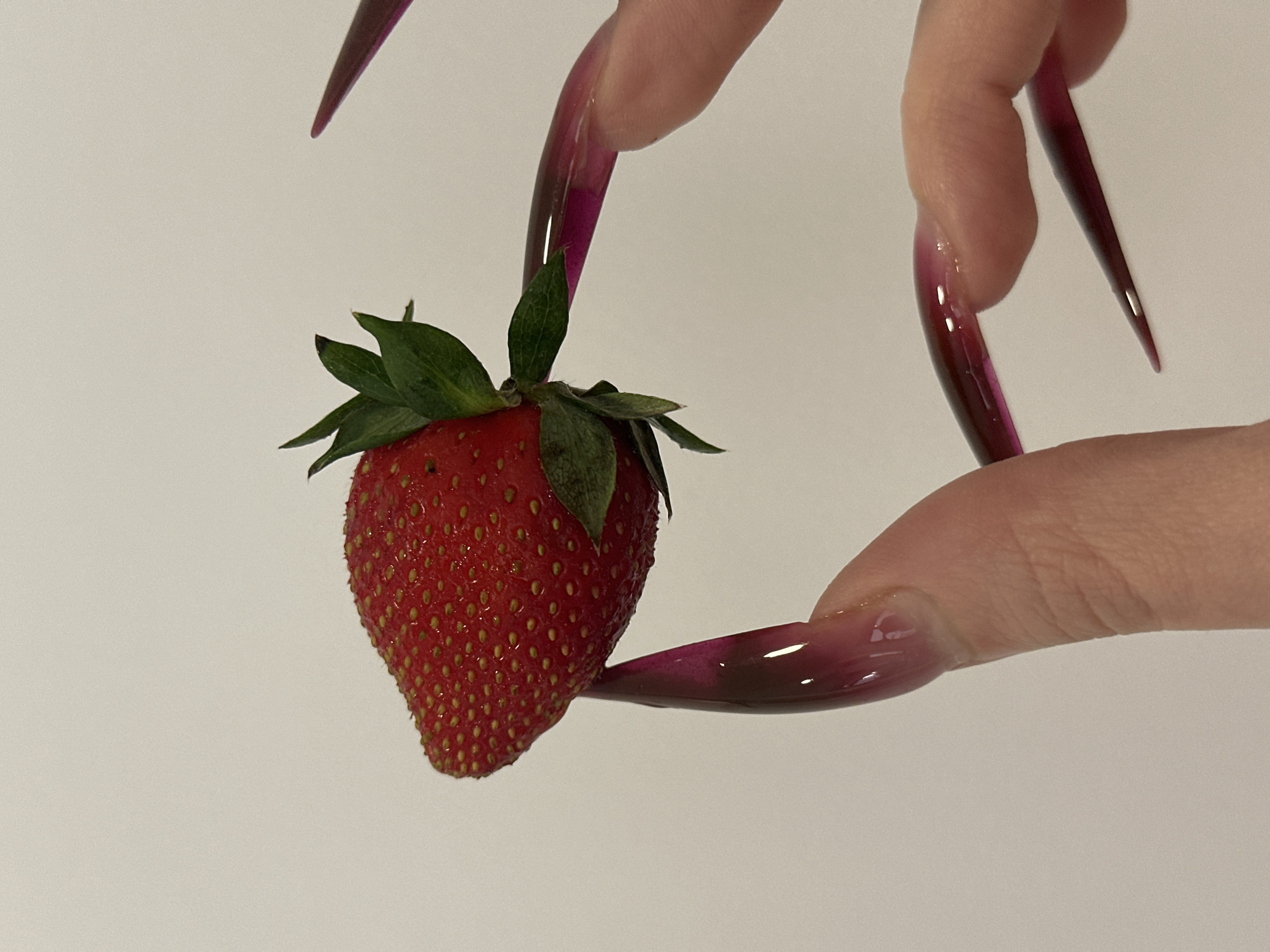 A single strawberry is being held between two fingers with long, sharp, ombre-colored nails, transitioning from a light pink at the base to a dark burgundy at the tips. The strawberry is red and has green leaves at its top. The background is a plain, light gray. The specific location within the city of Vracar Urban Municipality, Serbia is not discernible from this image.