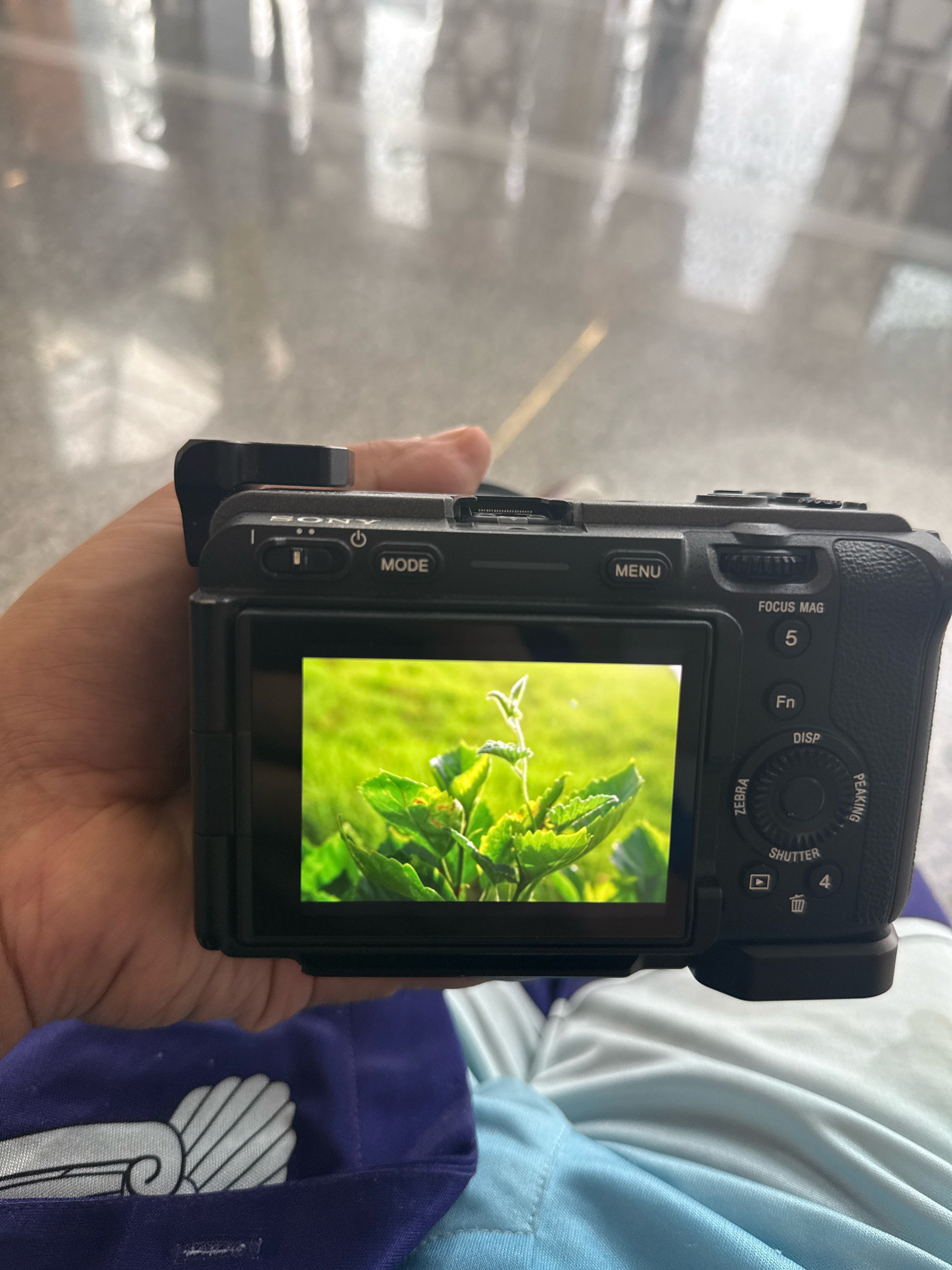 A hand holds a black Sony digital camera, displaying a close-up of vibrant green leaves bathed in sunlight on its LCD screen. The camera's control buttons and dial are visible on the top and back. In the background, a blurred, bright environment suggests an indoor setting with reflective surfaces. The camera is held over a person's lap, which is covered by blue and light blue fabric. The image does not contain any elements or information to determine its location in Ouled Tayeb, Morocco.