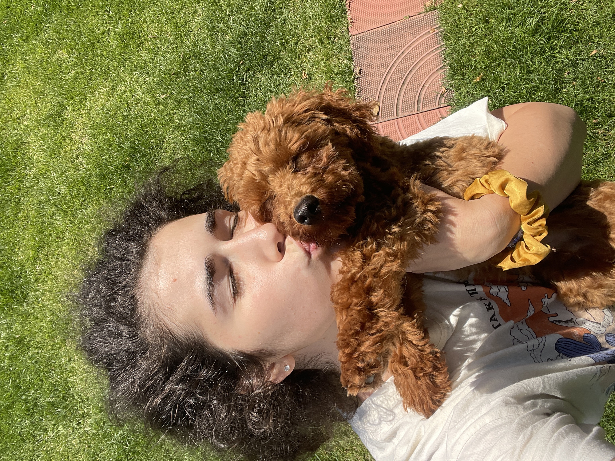 An overhead shot captures a young person and a small dog lying together on bright green grass, indicative of an outdoor setting such as a garden or park in Sofia, Bulgaria. The person, with dark, curly hair, is lying on their back, wearing a white t-shirt, and is seen in a tender embrace with the dog. Their eyes are closed as they gently kiss or nuzzle the head of the small, reddish-brown, curly-haired dog, conveying a moment of deep affection and tranquility.
The dog, which appears to be a Poodle or Doodle breed with a distinct black nose, is comfortably nestled in the person's arms, also appearing relaxed with its eyes closed. A yellow scrunchie is visible on the person's right wrist. In the upper right portion of the frame, a segment of a reddish-brown tiled or paved surface is visible, contrasting with the vibrant green lawn.
The scene is brightly lit by natural sunlight, suggesting it is daytime on a clear, sunny day. The overall atmosphere is one of warmth, peace, and mutual affection between the human and their pet. Faint, obscured text is visible on the person's t-shirt, partially hidden by the dog and arm.