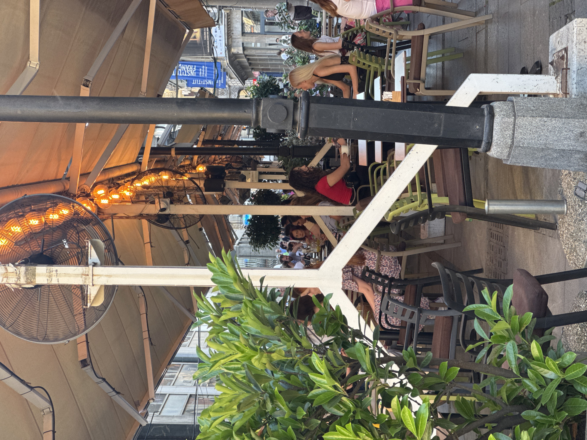 This image captures an outdoor seating area of a cafe or restaurant on a street in Belgrade, Serbia. The scene is partially shaded by awnings and features several tables and chairs occupied by patrons. In the foreground, a lush green plant is prominent, partially obscuring the view of some of the seating. Overhead, large industrial fans and strings of warm-toned lights are suspended, suggesting the setting is either warm or being prepared for evening ambiance.
Several individuals are visible seated at tables. On the left, a woman with dark curly hair wearing a red top is seated, facing a person across from her. To her right, a woman with blonde hair in a black top is seated at another table. Further in the background, more people are seen dining and conversing. The overall atmosphere appears relaxed and social. The architectural style of the buildings in the background hints at an urban European setting. A blue banner with French text, "Institut Français," is visible hanging from a building in the mid-ground, indicating a cultural institution nearby.