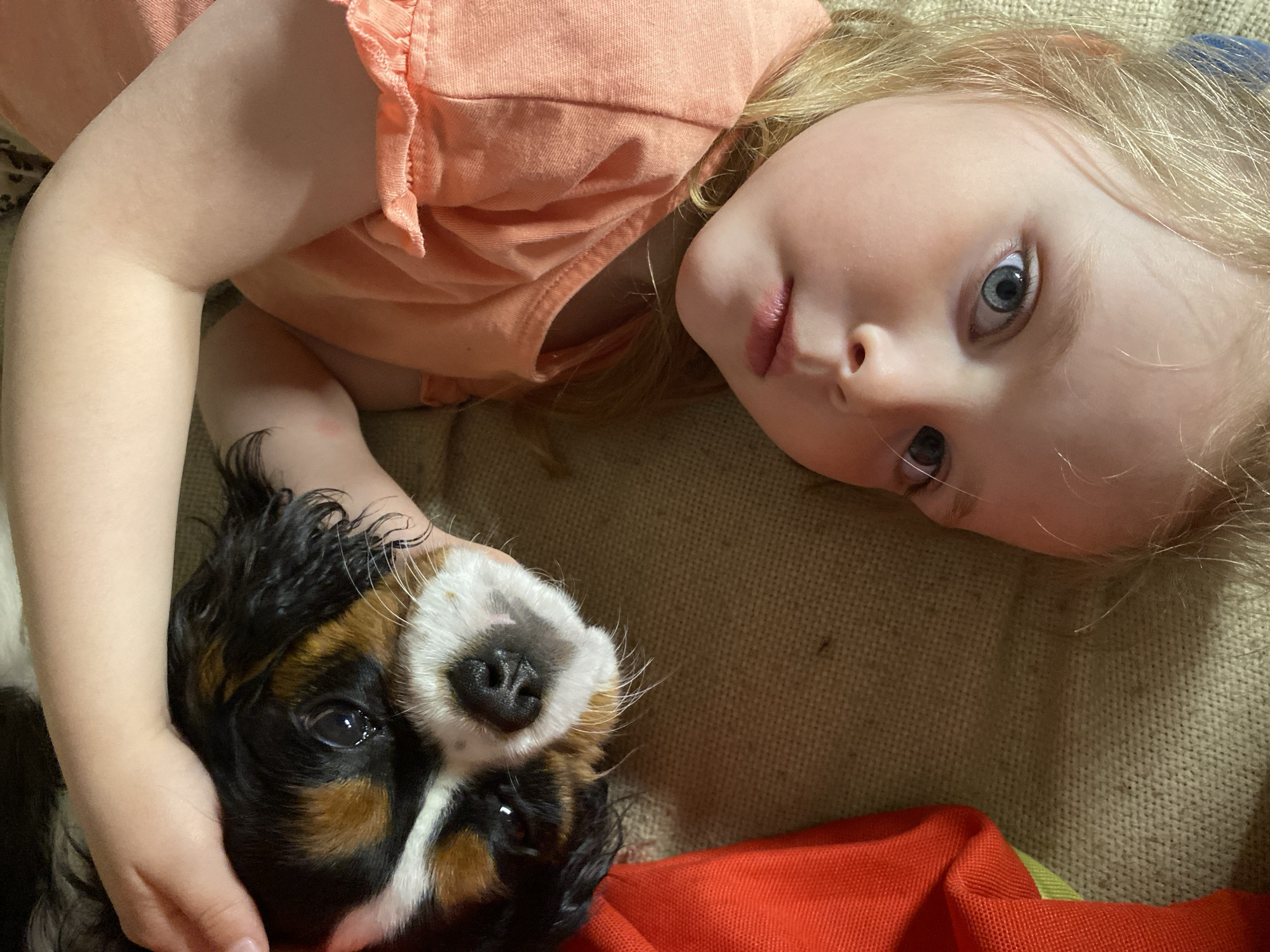 A young child with blonde hair and blue eyes, wearing a peach-colored shirt, lies on a tan textured surface, possibly a sofa or bed. The child is looking directly at the camera. A Cavalier King Charles Spaniel puppy lies next to the child, its head resting against her arm. The puppy has black, brown, and white markings. Part of a red object, possibly a blanket or article of clothing, is visible in the lower right corner of the image. The location, Votkinsk, Russia, cannot be verified from the image.