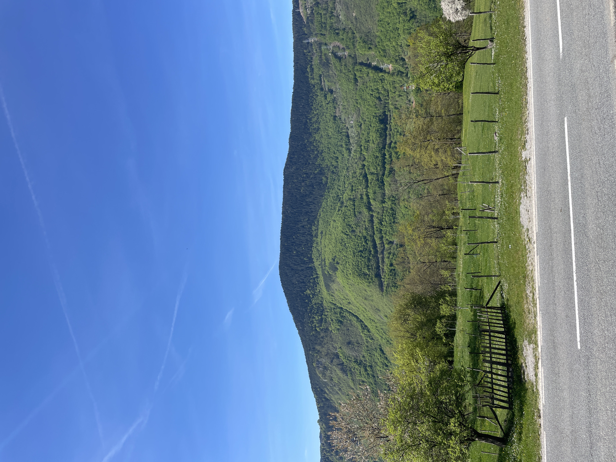 The image shows a landscape near Đurđevića Tara, Montenegro. A tree-covered mountain rises on the left side of the image. A grassy field with a rustic wooden fence and some trees is situated to the right of the mountain. A paved road with a white dividing line runs along the right edge of the image. The sky is a clear blue with faint contrails.