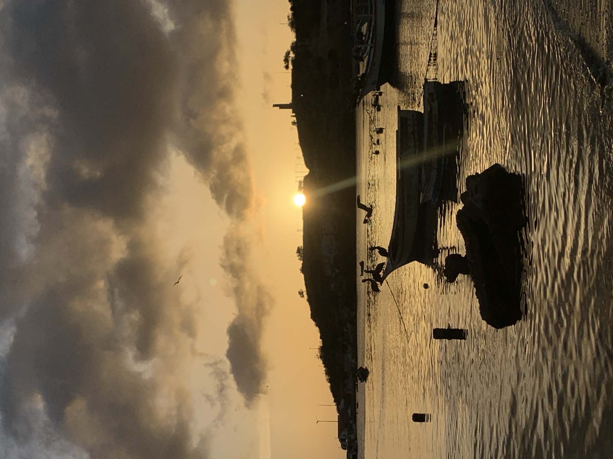 The image depicts a serene sunset scene at the Juan Griego bay, Venezuela. Several boats are anchored in the calm waters, some with birds perched on them, suggesting a peaceful coexistence between nature and human activity. The sky is painted with hues of orange and yellow, with dramatic clouds creating a striking silhouette against the setting sun. The overall atmosphere is tranquil, highlighting the natural beauty of the coastal landscape.