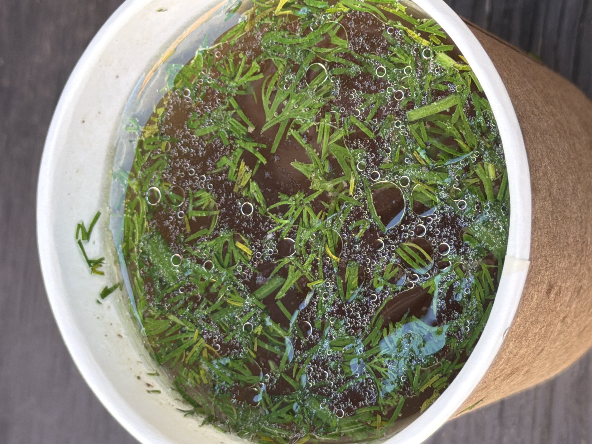 An overhead, close-up shot shows a brown paper cup filled with a dark liquid and finely chopped green herbs, possibly dill, floating on top. Small bubbles are visible throughout the liquid. The cup sits on a dark, wooden surface, likely a table. The image appears to have been taken outdoors, with dappled light suggesting it might be in a park or a cafe with outdoor seating in Moscow, Russia. There are no people or animals present in the frame.