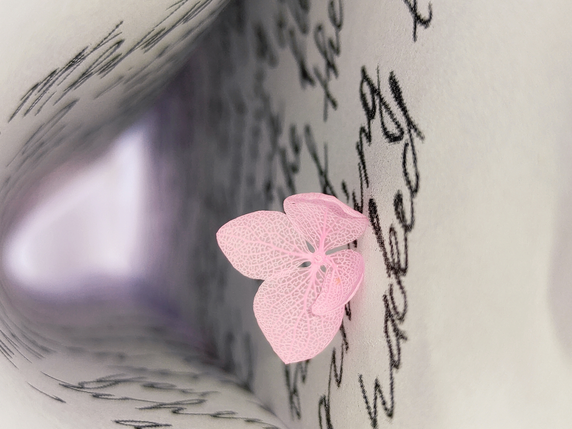 A close-up shot shows a pink flower with a delicate, veined petal structure positioned on a curved surface covered in scribbled handwriting. The surface, likely paper, forms a tunnel-like space with blurred light visible at the far end. The focus is sharp on the flower and the surrounding writing.
The location in the city of Chaikovsky, Russia is not evident from the content of the image.