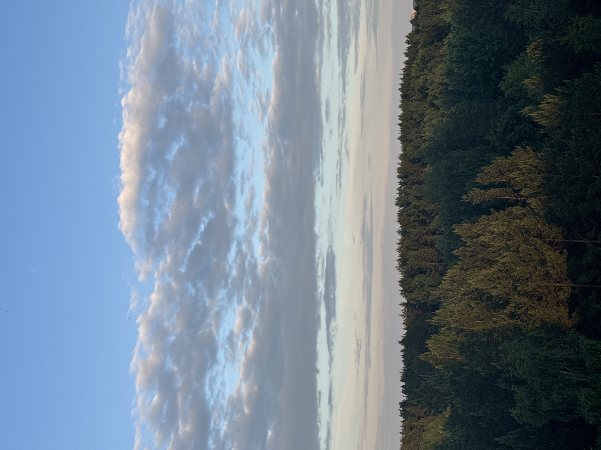 The image displays a serene natural landscape with a clear horizon separating a vast sky from a dense forest. The upper portion of the frame is dominated by a partially cloudy sky, featuring light blue areas and an extensive formation of white and grey clouds that stretch across the scene. These clouds show varying textures and levels of illumination, with some appearing bright and others darker.
Below the sky, a continuous, thick line of dark green, coniferous trees forms a dense forest, occupying the lower half of the composition. Hints of lighter green foliage are visible where sunlight touches the tree crowns. The soft, diffuse lighting suggests the time of day is either late afternoon or early evening, casting a gentle glow over the clouds and the forest canopy. There are no people, man-made objects, or visible text in the scene. The tranquil setting is characteristic of natural areas in Chaikovsky, Russia.