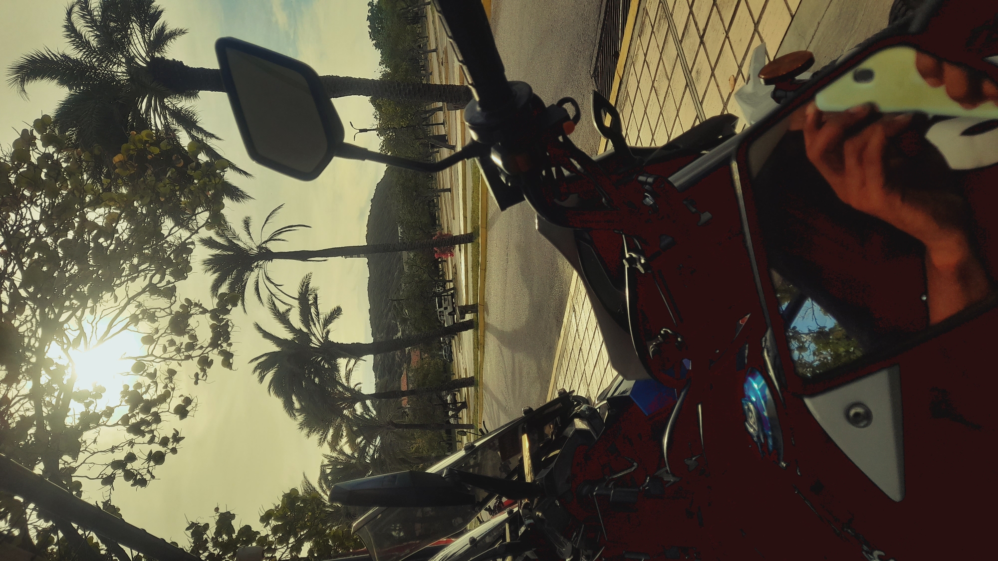 The image depicts a scene in Pedro González, Venezuela, characterized by a warm, slightly overexposed atmosphere. In the foreground, the front portion of a red motorcycle is visible, its handlebars and a rearview mirror prominent. The motorcycle's reflection in a side mirror reveals a person holding a smartphone, presumably taking the photograph.
Behind the motorcycle, a paved area with a yellow border separates the sidewalk from a road. Beyond the road, a parking lot is visible, dotted with several palm trees. In the background, a light-colored hill rises, with some scattered buildings and vegetation. The sky is bright, with the sun's rays filtering through the leaves of trees that hang over the scene from the left. The overall impression is of a sunny day in a tropical or subtropical urban environment.