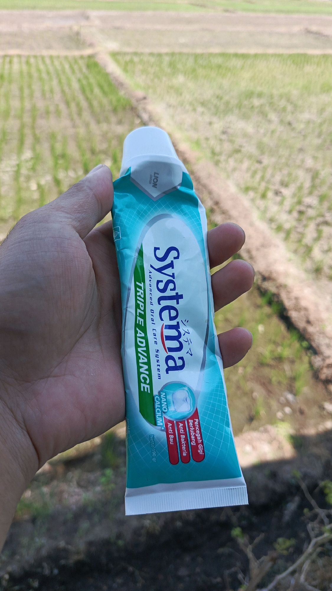 A person's hand is holding a tube of Systema Triple Advance toothpaste. The toothpaste tube is primarily teal and white, with the brand name "Systema" in large, bold, dark blue letters. Below the brand name, it says "Advanced Oral Care System" and "TRIPLE ADVANCE". There are also smaller text elements in both English and Japanese, along with icons. The tube also features text in red and white stating "Pencegah Gigi Berlubang", "Anti Bacteria", and "Anti Bau". The background of the image is a blurred view of a rural landscape with rows of green plants, possibly rice paddies, with dirt paths separating them. This setting is consistent with the rural areas found in Babadan, Indonesia, a location known for its agricultural landscapes. The lighting suggests it is daytime, and the overall scene is casual and outdoors.