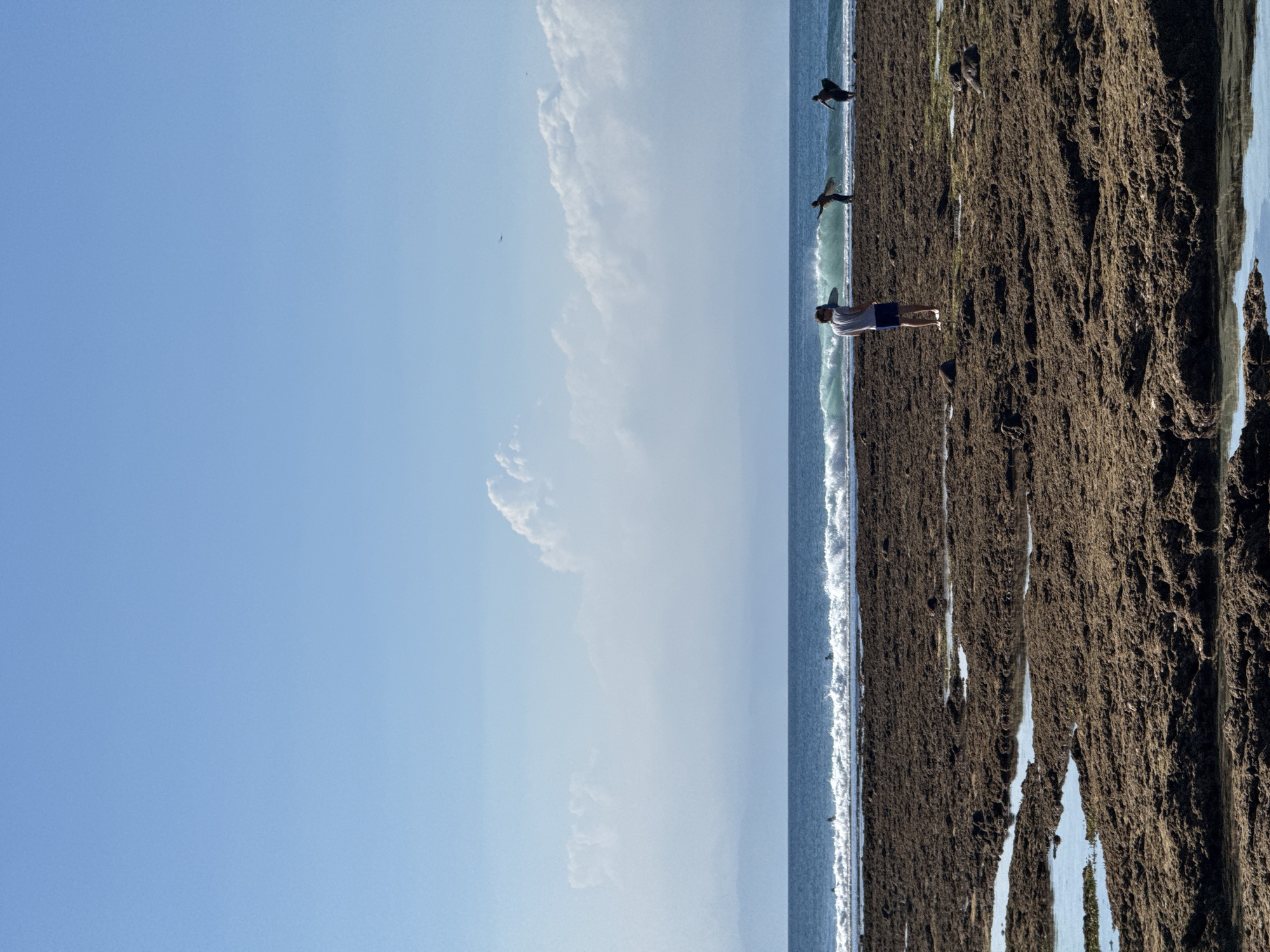 When viewed in its correct orientation, the image captures a sunny coastal scene, likely in Kuta Selatan, Indonesia. The upper portion of the frame features a clear, expansive blue sky dotted with soft, white cumulus clouds, with a larger cloud formation visible on the left.
Below the sky, the horizon separates it from the vast blue ocean, where white-capped waves are seen breaking along the shoreline. The foreground and lower part of the image consist of a rugged, dark brown, rocky coastline, possibly a reef exposed at low tide, textured with uneven surfaces and reflecting patches of sky in small pools of water.
Several individuals are present on this rocky shore near the water's edge. A prominent figure stands in the mid-ground, wearing a light-colored shirt and dark shorts, appearing to look out towards the ocean. Further down the shoreline to their right, two other individuals are visible near the breaking waves; one seems to be crouching or bending over close to the water, while the other stands slightly further out. The scene depicts a tranquil daytime setting, with people enjoying the natural beauty of the beach or preparing for water activities. There is no visible text.