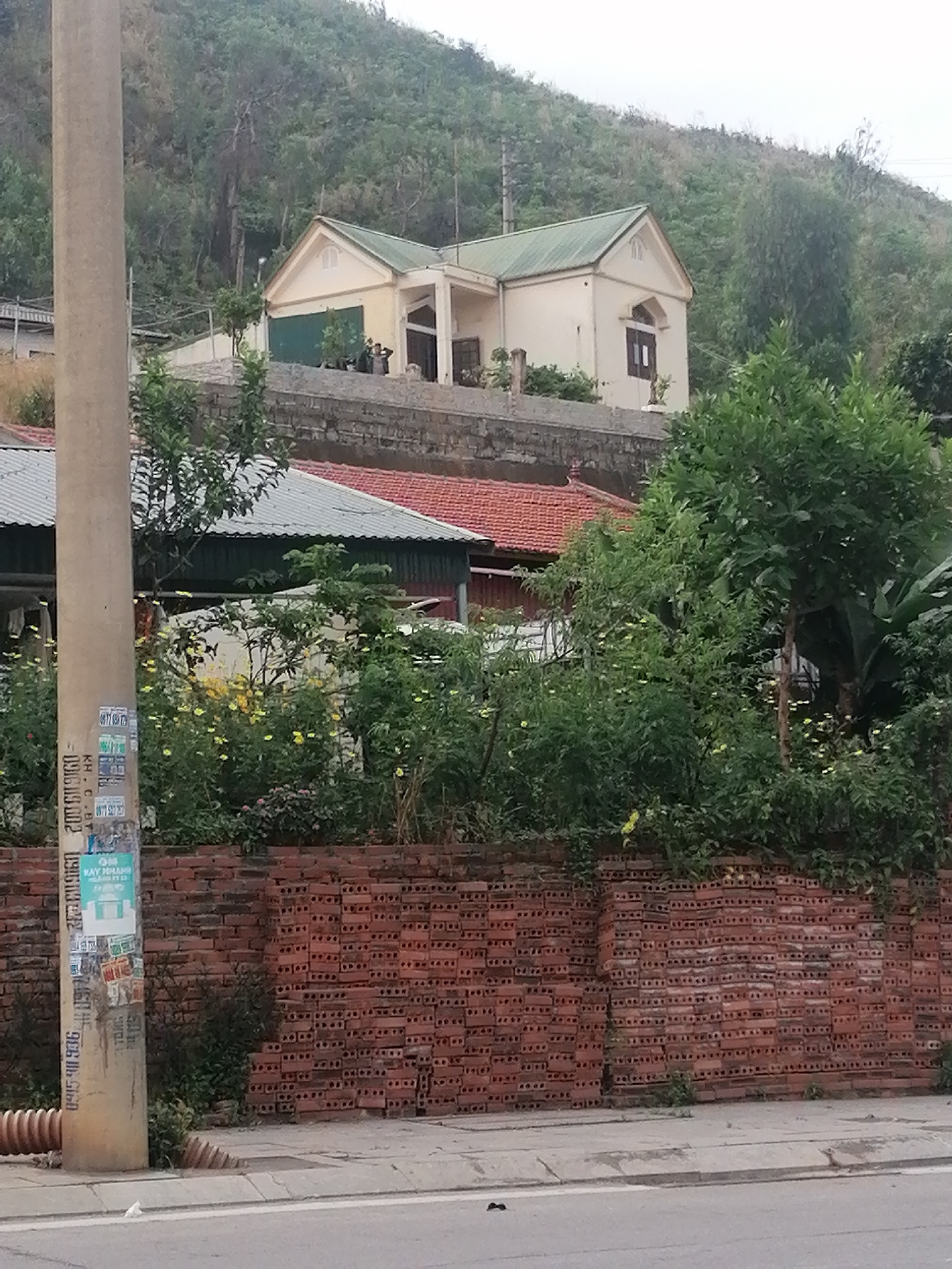 This image presents a multi-layered residential scene in Bai Chay Ward, Vietnam, ascending from a street level to a densely vegetated hillside. The time of day appears to be overcast daytime, indicated by the soft, diffused lighting and pale sky.
In the immediate foreground, a grey asphalt road and sidewalk are visible. On the left, a tall, light-colored utility pole stands prominently, heavily plastered with various paper advertisements and stickers. Visible text fragments include "KH C-BT", phone numbers such as "0969 002", and Vietnamese phrases like "VAY NHANH" (fast loan) and "BAY NHANH" (fast flying/transfer) on a blue poster. A brown corrugated pipe emerges from the ground near the pole.
Running horizontally across the lower midground is a distinctive low wall constructed from stacks of unmortared red bricks, suggesting either a temporary barrier or a supply of building materials. Behind this brick wall, lush green foliage with numerous small yellow flowers grows densely. Further into the midground, parts of two simpler buildings with corrugated metal roofs – one grey and one red/terracotta – are visible amidst the greenery.
Higher up the hillside, a cream-colored house with a green corrugated metal roof is prominent. This two-story structure features gabled sections, dark-framed windows, and what appears to be a large garage-style door on its left side. Potted plants adorn the terrace in front of the house. The entire background is dominated by a steep, verdant hillside covered in dense trees and undergrowth, receding into the overcast sky. No people or active events are captured in the frame.