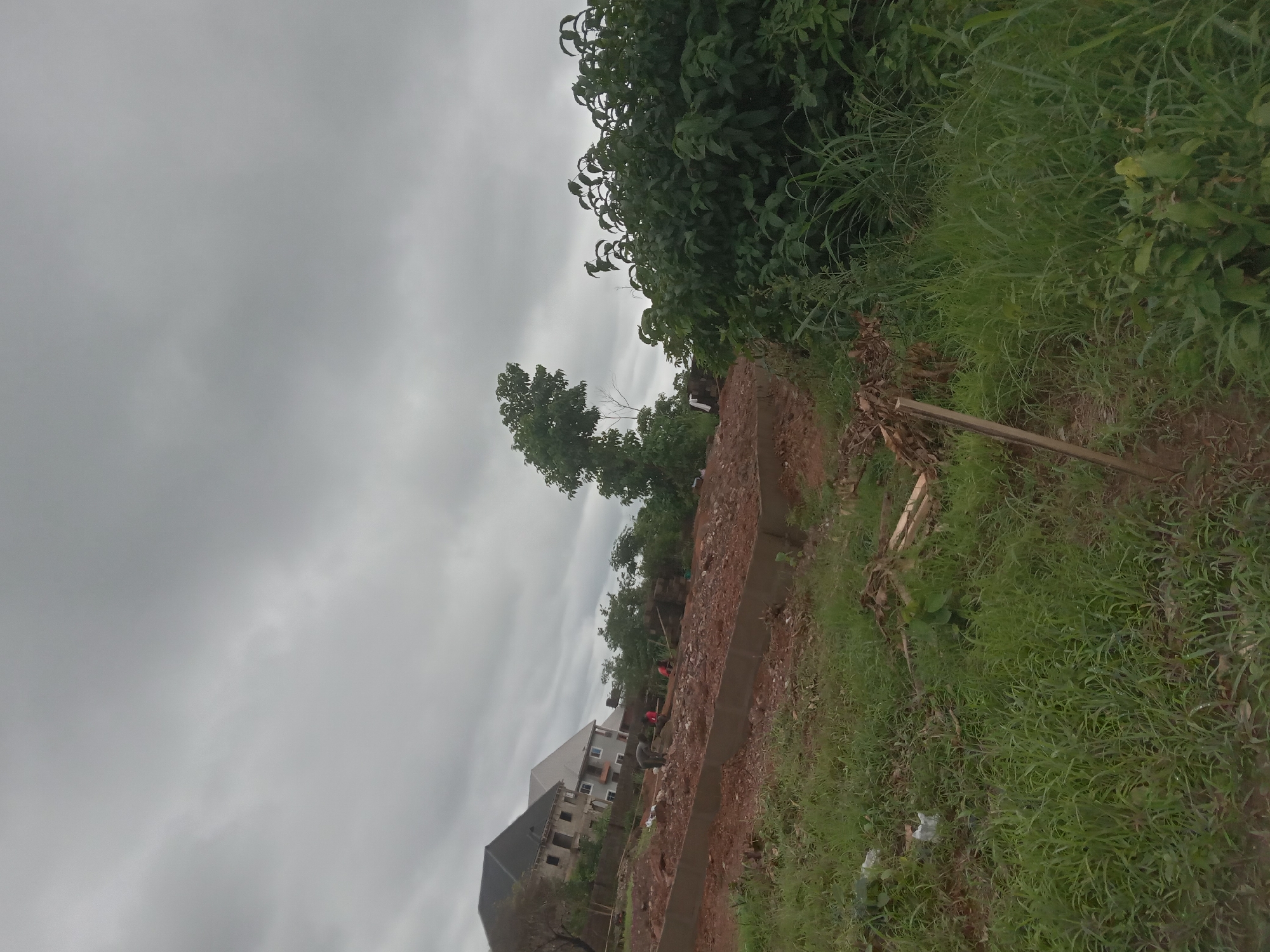 The image depicts a construction site in Achara Ndiagu Omegio, Nigeria, under a cloudy sky. A two-story building is visible in the background, partially constructed. In the foreground, there's a low wall or foundation made of red-brown earth, potentially marking the outline of a new structure. Several workers wearing red shirts can be seen engaged in construction activities around this foundation. The surrounding area is overgrown with green grass and vegetation. A tall, leafy tree is in the midground. A wooden stick is partly visible in the foreground.