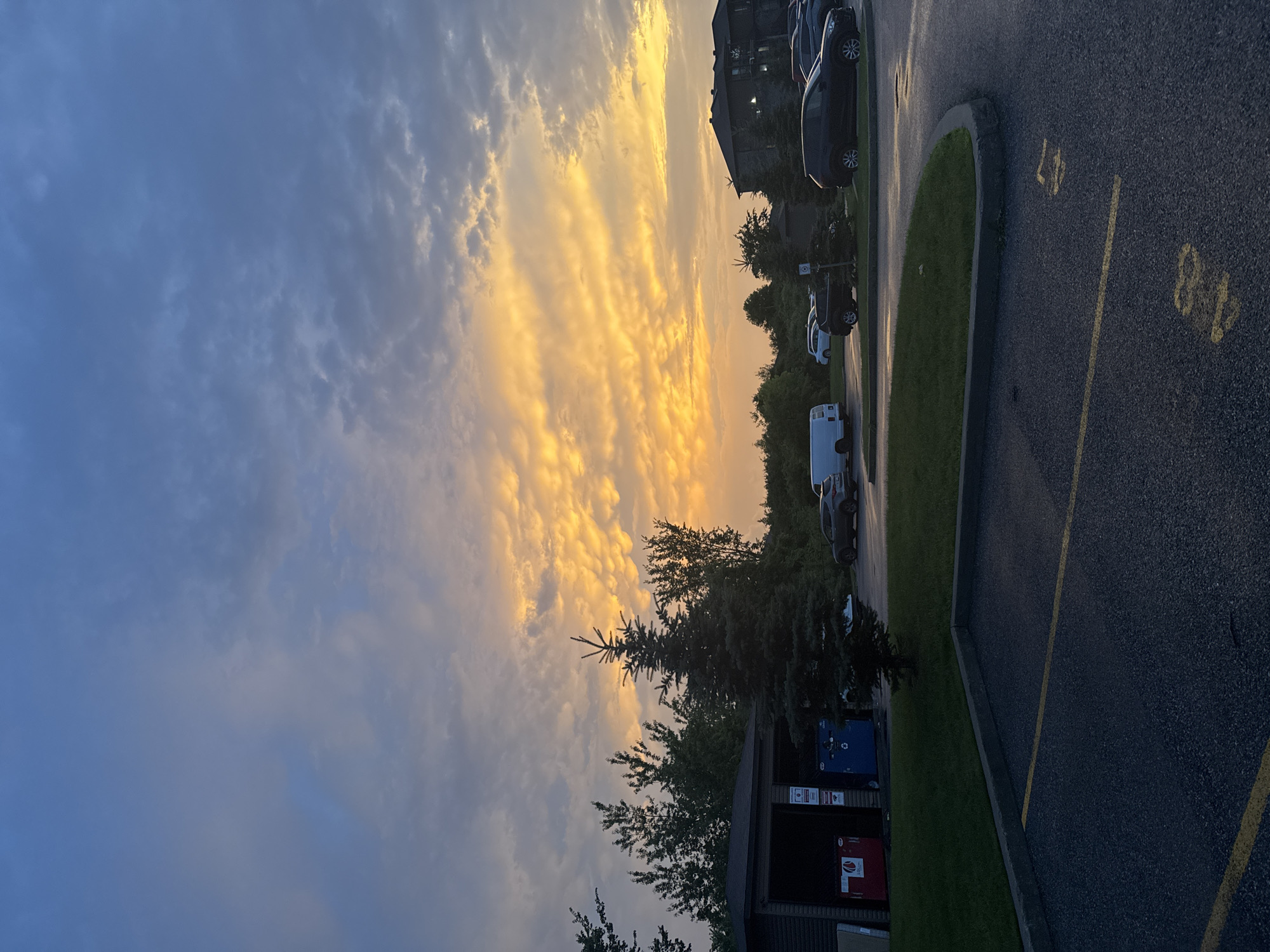 This is a vertical, full-shot photograph capturing an evening scene at a parking lot adjacent to residential buildings and a small structure housing recycling bins, likely located in Gatineau, Canada. The sky is a dramatic canvas of color, with a thick band of vibrant orange and yellow clouds illuminated by the setting sun, contrasting with the deeper blue of the upper atmosphere.
In the foreground, a paved asphalt parking lot dominates the lower portion of the frame. Yellow painted lines delineate parking spots, and the numbers "47" and "48" are visible, stenciled in yellow, indicating designated parking spaces. To the left, a small, dark-colored structure with a sloped roof contains large red and blue recycling bins. Next to it, a dark green evergreen tree stands prominently.
Beyond the parking lot, a patch of well-maintained green grass separates the parking area from a row of trees and bushes. In the background, several vehicles are parked, including a white van, a dark SUV, and a dark sedan. Further in the background, a multi-story residential building with dark siding and windows is visible on the right side of the frame. The overall lighting suggests dusk or early evening. There are no people visible in the image.