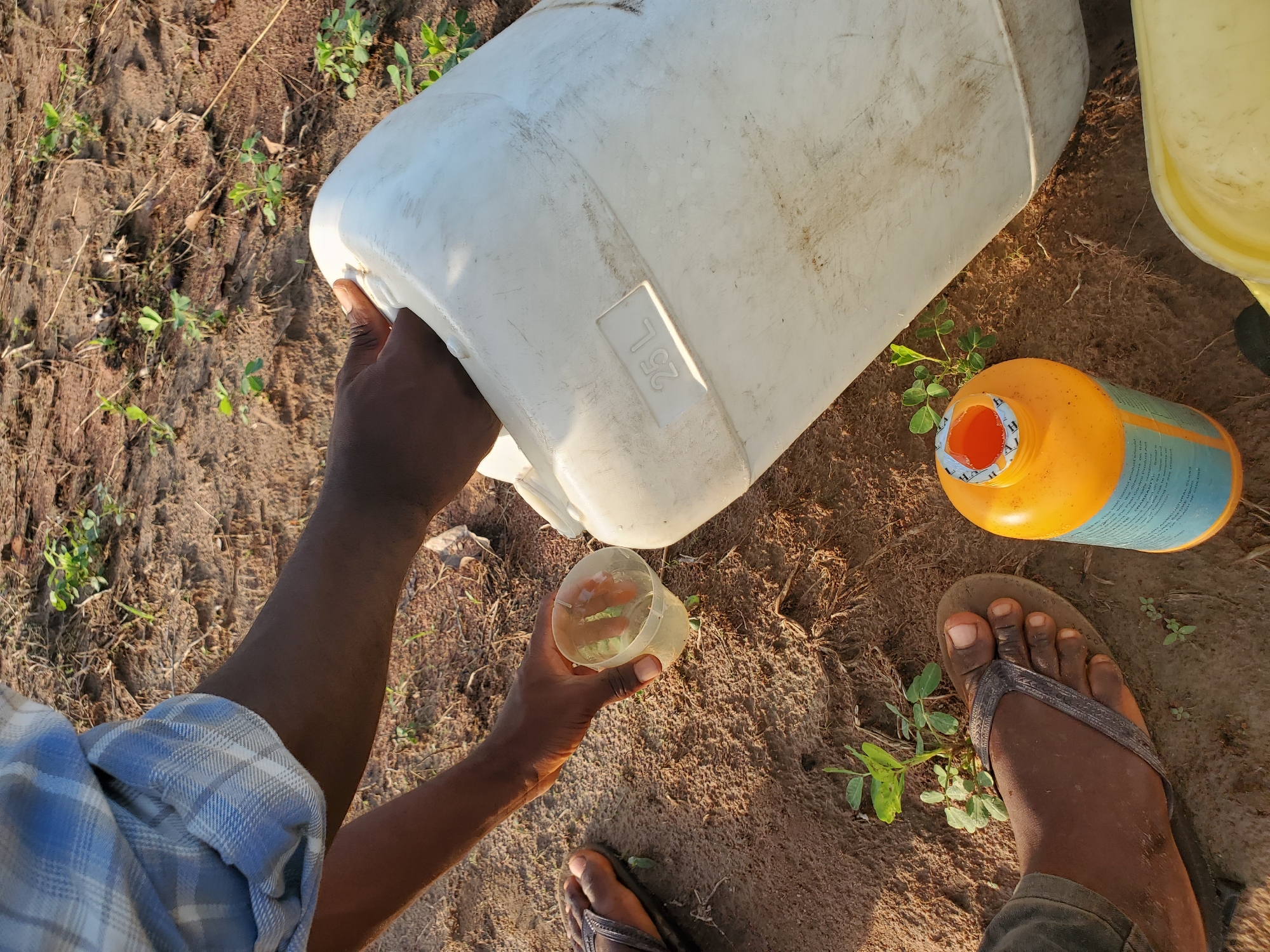 An overhead shot captures a person engaged in an agricultural activity outdoors in Mararaba, Nigeria. The person's dark-skinned hands are visible, carefully pouring a liquid from a large, white plastic jerrycan into a smaller, clear plastic measuring cup. The white jerrycan has "25 L" (indicating 25 liters) embossed on its side, suggesting its capacity.
The setting is an open, sunlit area with dry, reddish-brown soil. Sparse green plants and weeds are scattered across the ground, typical of an agricultural field or garden. The person is wearing dark flip-flops on their feet, which are also visible, and a blue and white checkered shirt, only a sleeve of which is seen.
Lying on the ground near the pouring activity is an orange and blue plastic bottle, likely containing an agricultural chemical like fertilizer or pesticide. Faint text, including "HA" on its cap and some blue text on its label, is partially visible but largely illegible. A part of another yellow container is also visible in the background, suggesting more supplies.
The lighting indicates a bright, sunny day, likely late morning or afternoon, with clear shadows cast on the ground. The scene depicts a practical, utilitarian task related to farming or cultivation in a rural or semi-rural environment.