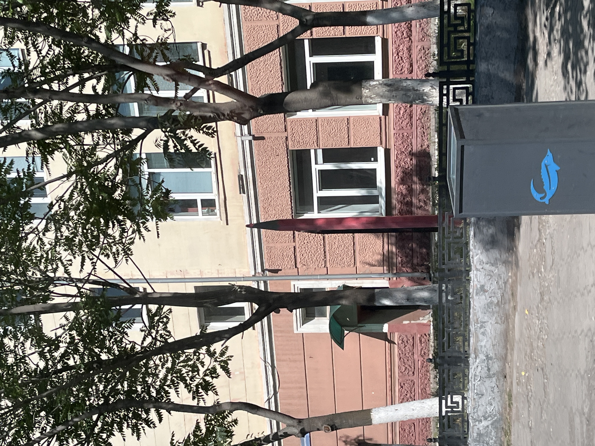 The image captures a street scene in Astrakhan, Russia, focusing on a residential building with a textured pink lower facade and a lighter beige upper facade. Several trees with sparse green foliage partially obscure the building's windows, which are mostly white-framed. A prominent, tall red object, resembling a stylized pencil or a large marker, stands vertically in front of the building. In the foreground, a dark grey trash bin is visible, decorated with a bright blue silhouette of a fish. A black decorative metal fence separates the sidewalk from the building's grounds, and the pavement in front of the fence appears somewhat worn and cracked. Sunlight casts shadows from the trees onto the ground and the bin.