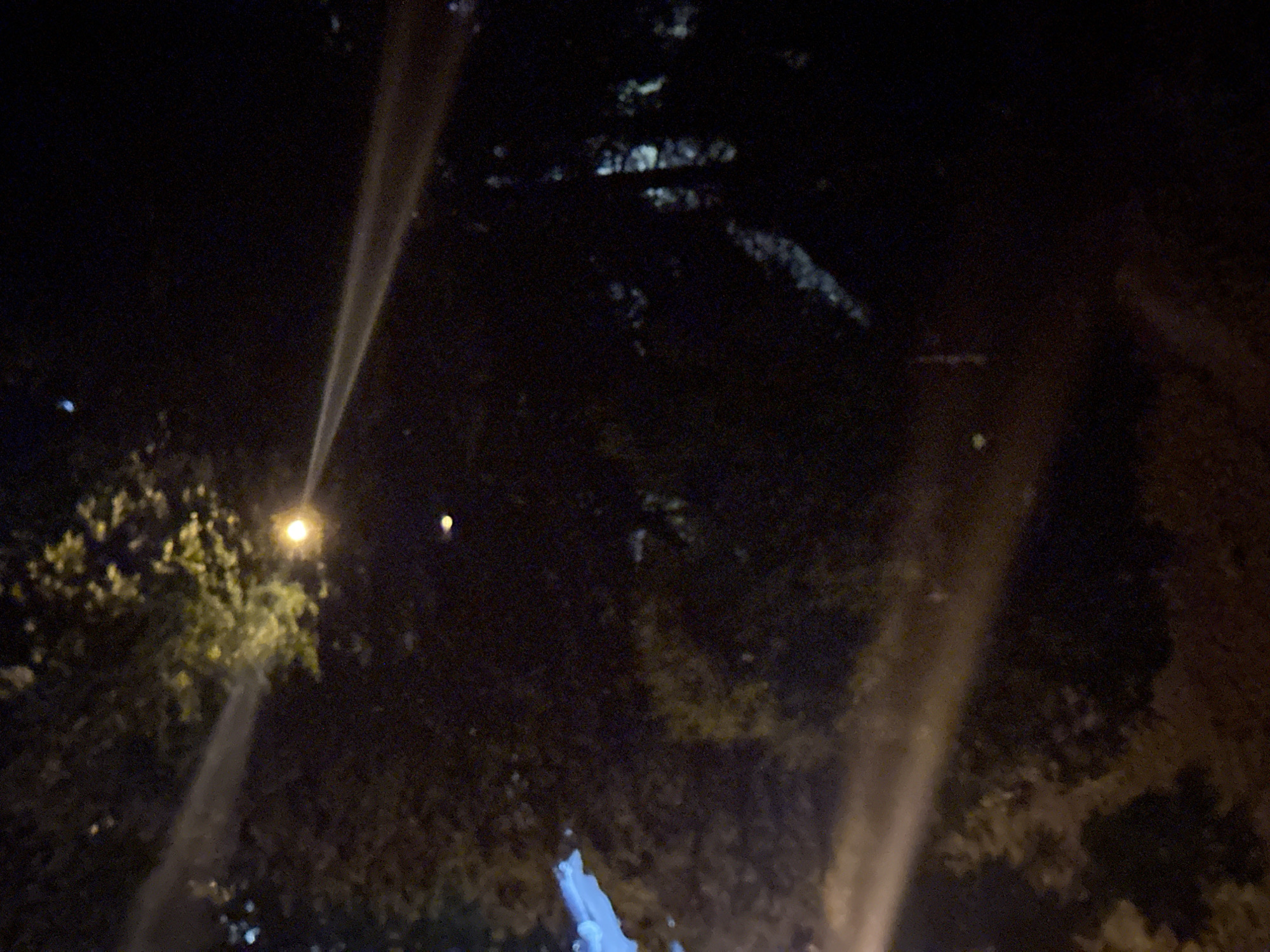 The image is a dimly lit nighttime shot of trees with some artificial light sources creating beams and illumination. In the upper left quadrant, a bright white light beam cuts across the dark foliage, originating from off-frame. A single, small, bright yellow light is visible in the upper middle portion of the image, possibly a streetlamp, with a faint halo of light around it. Another diffuse, yellowish-white light beam extends from the bottom left corner upwards, illuminating the lower part of the trees. The background is predominantly dark, with some lighter areas suggesting trees or structures. The image has a grainy texture, common in low-light photography. There are no people or animals visible in the frame. The scene appears to be outdoors, likely in a park or wooded area within a city, given the presence of artificial lighting.