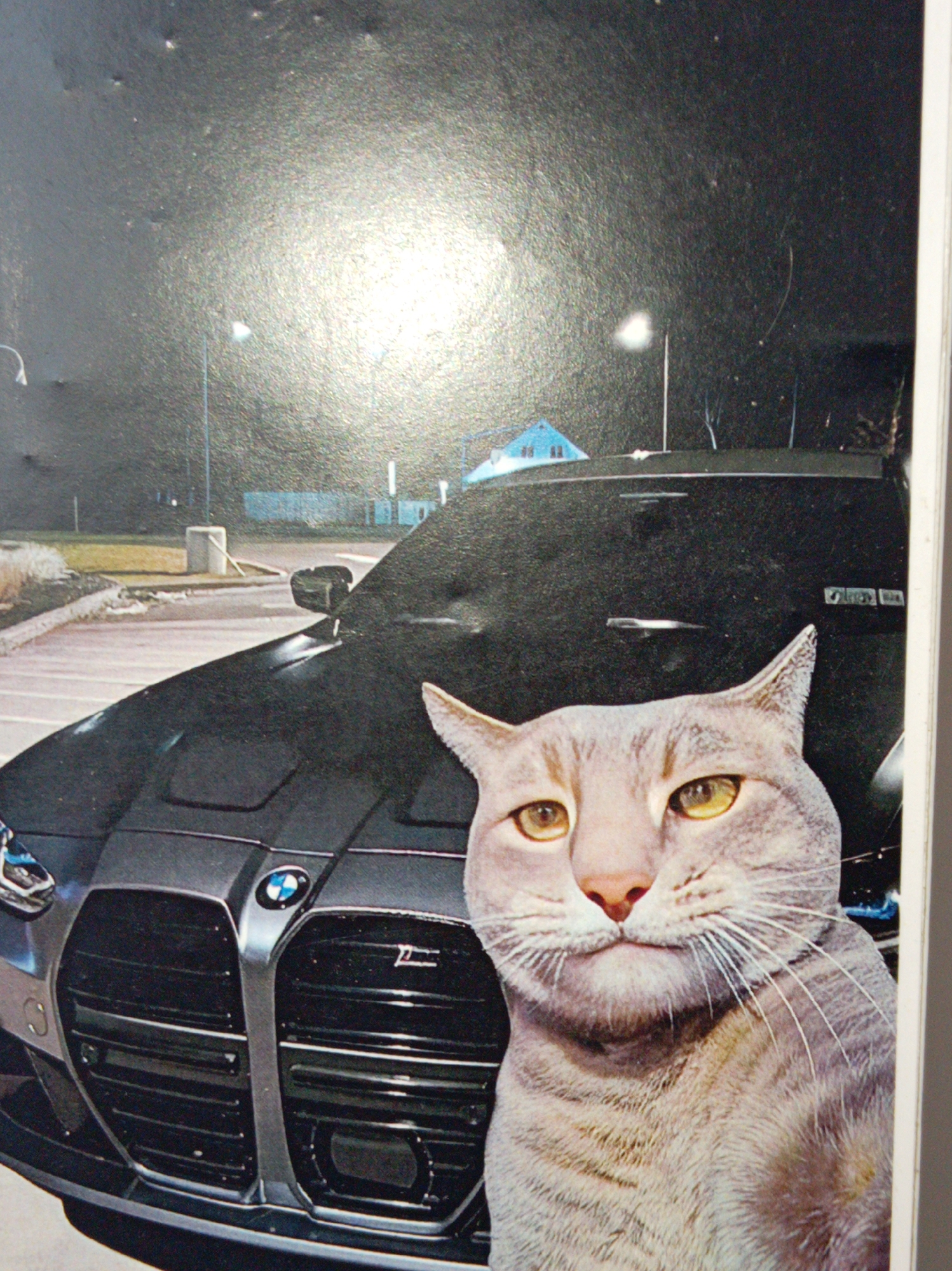 A close-up, medium shot captures a light gray tabby cat positioned in front of a black car. The cat's head and upper chest are visible, with its golden eyes looking directly at the viewer. The car, a BMW, features a prominent grille and is parked in an outdoor, possibly urban, setting. The background includes streetlights, a small blue building, and what appears to be a parking lot. The lighting suggests it is nighttime or dusk. No specific landmarks or identifying features place this scene in Chapurniki, Russia.